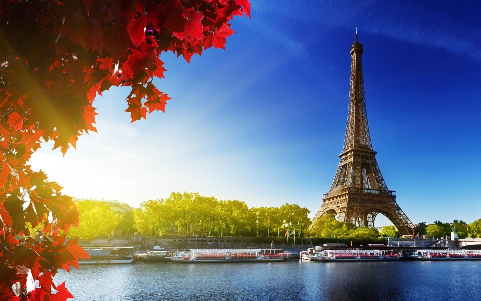 Обои Париж Эйфелева Башня солнечный свет на рабочий стол