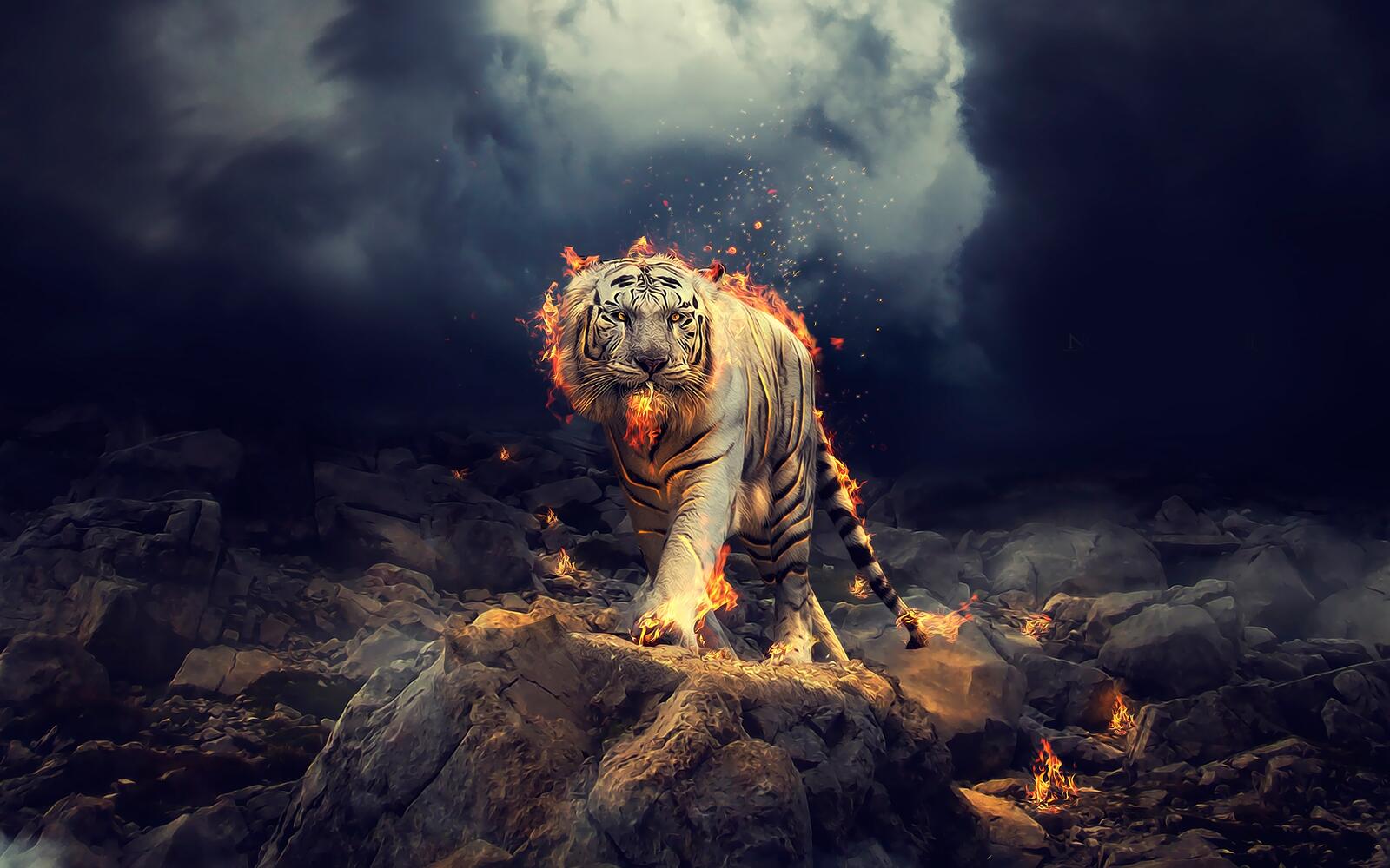 Wallpapers white tiger fantasy fire on the desktop