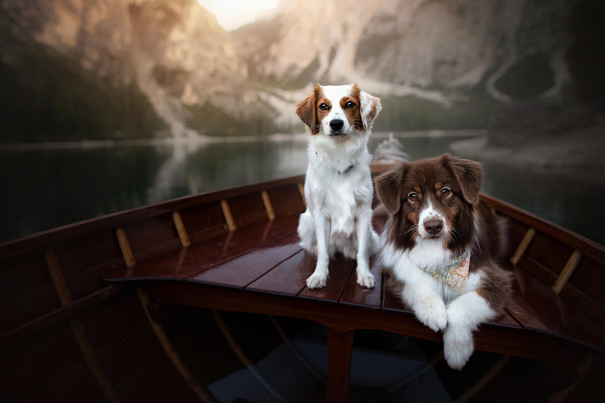 Двое в лодке, не считая фотографа