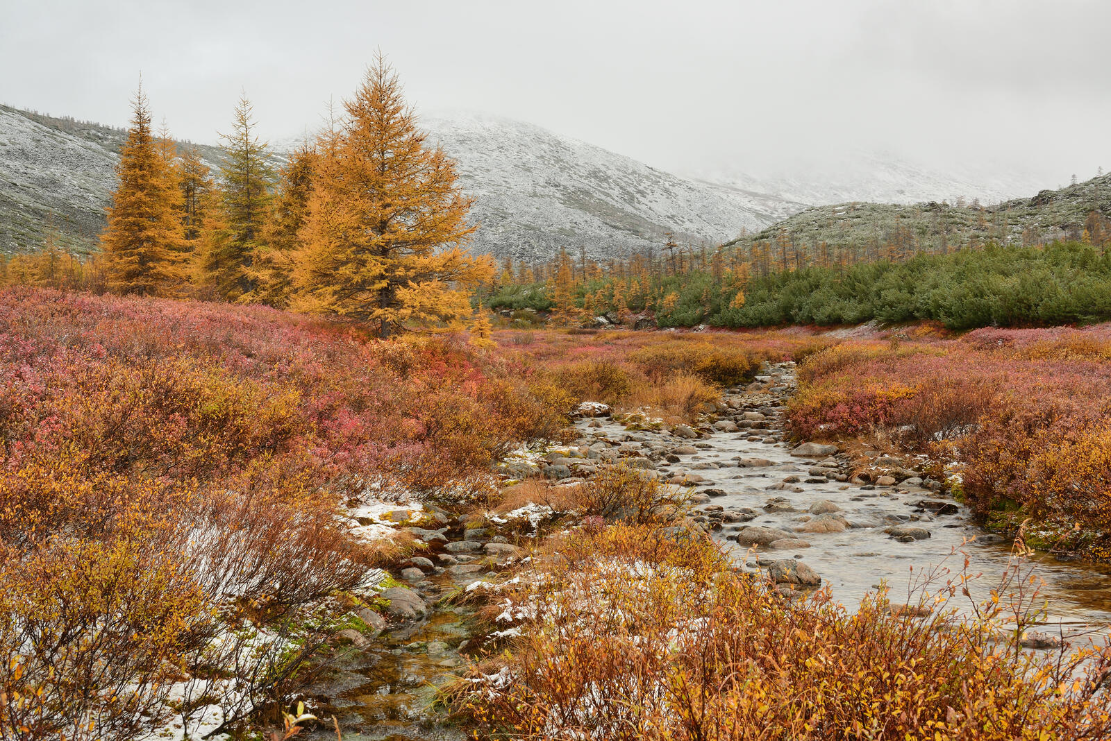 免费照片秋天的溪流
