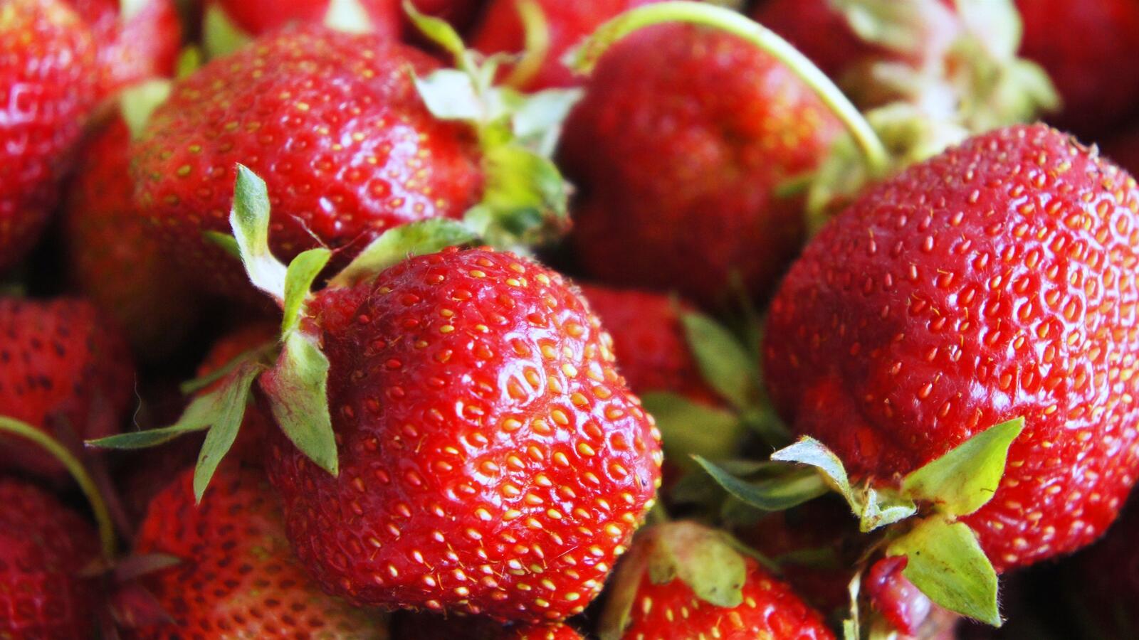桌面上的壁纸草莓 水果 关闭