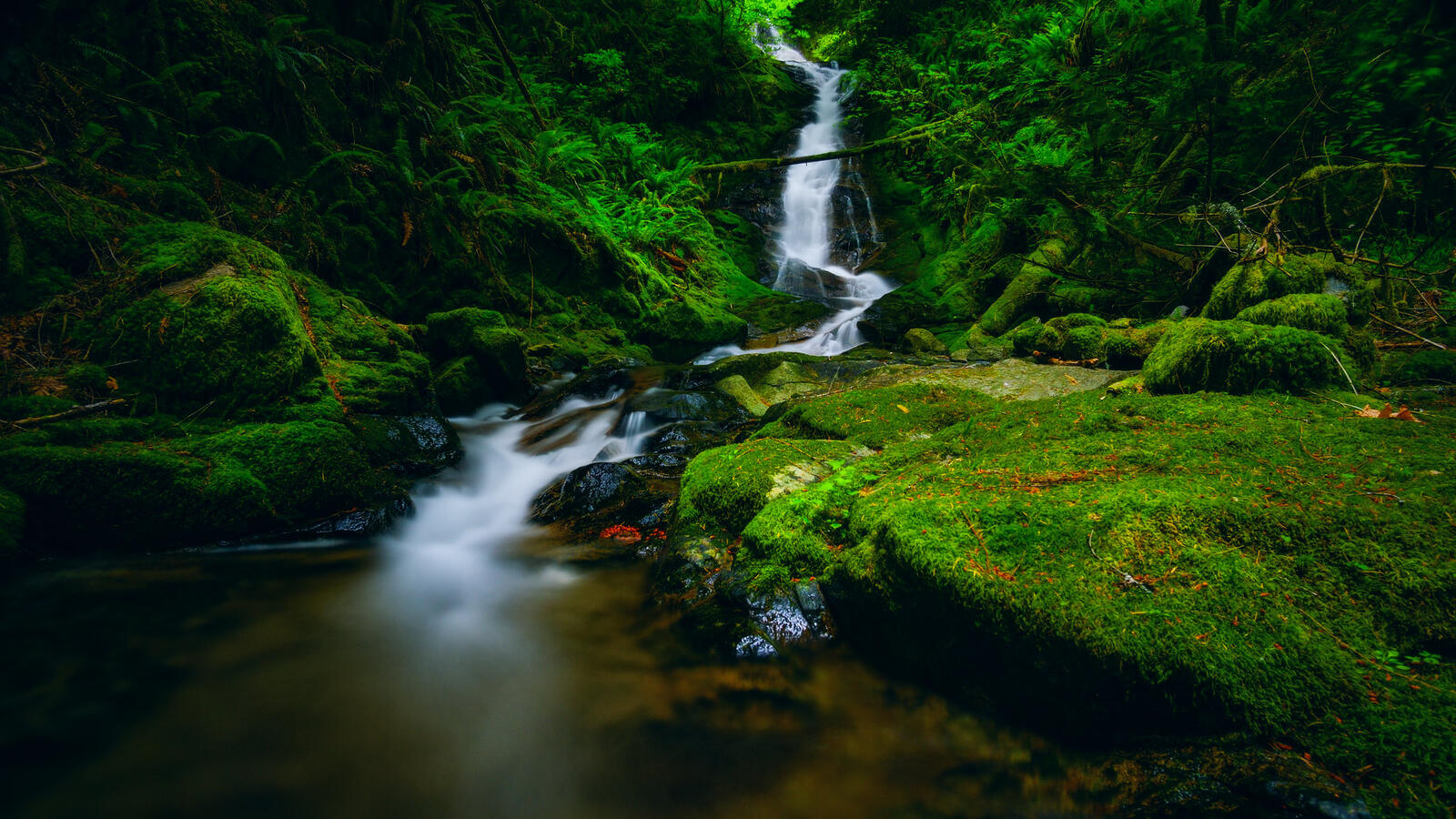 Wallpapers waterfall flow nature on the desktop