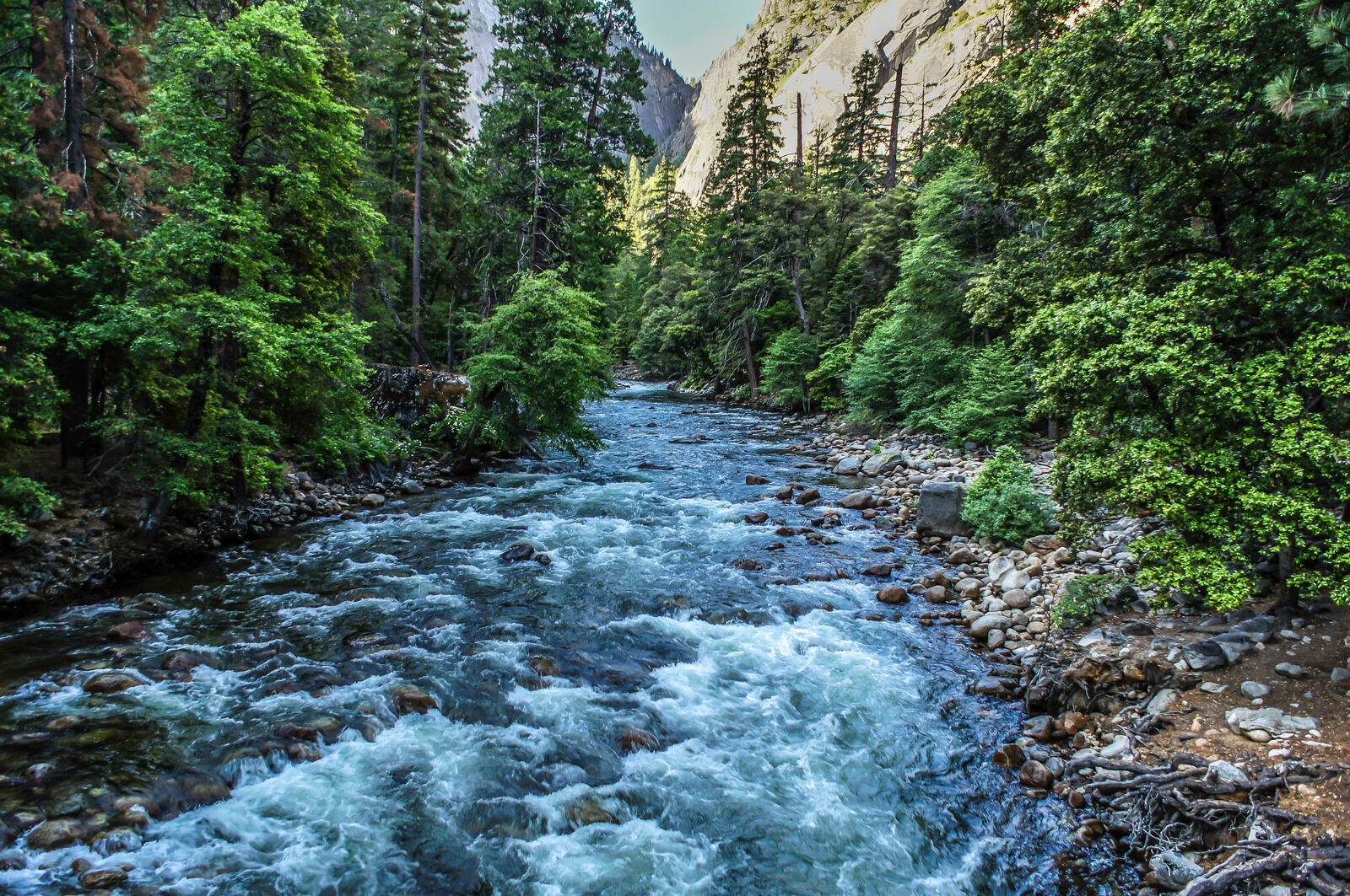 Wallpapers Yosemite National Park stream trees on the desktop