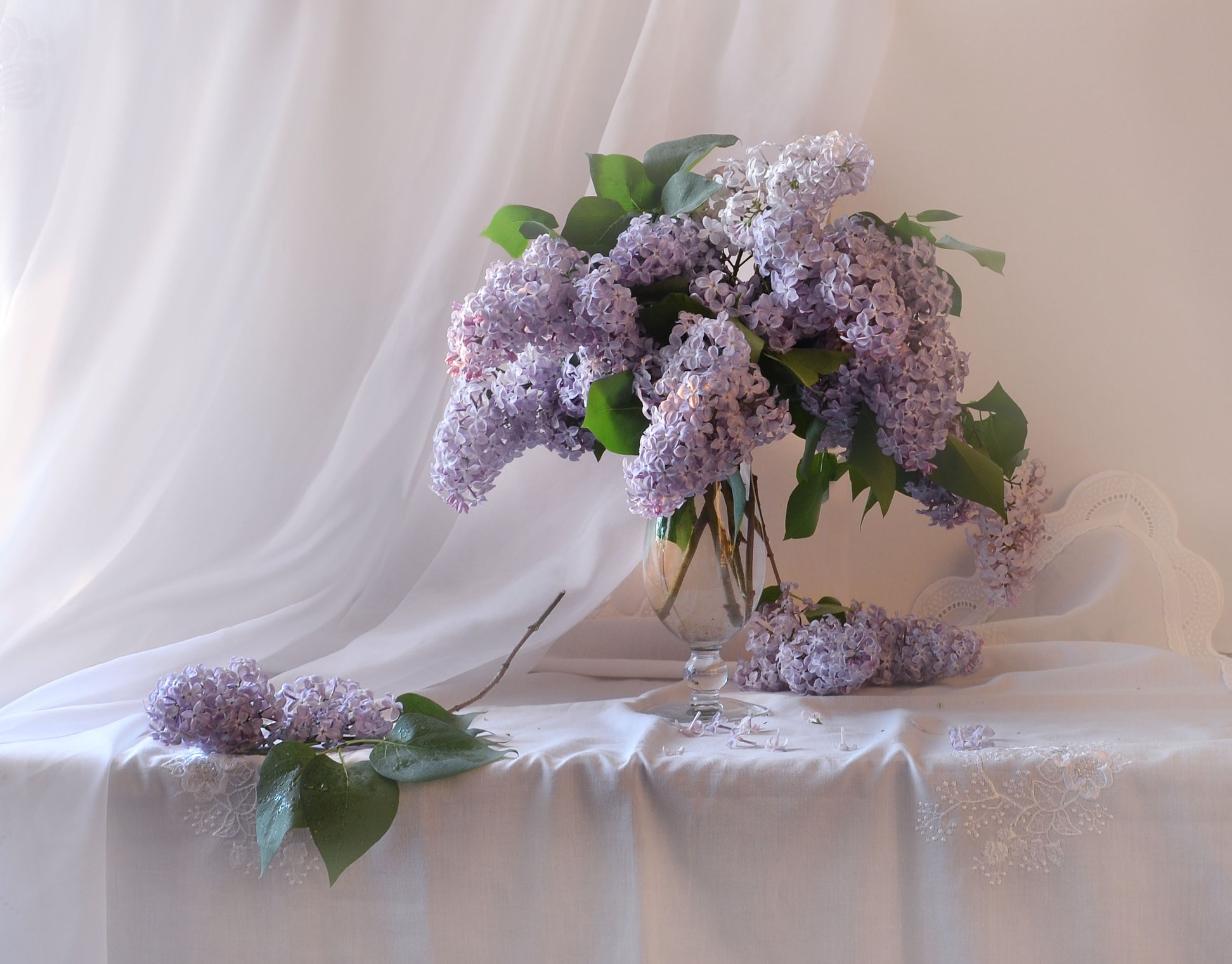 Wallpapers lilac still life picture on the desktop