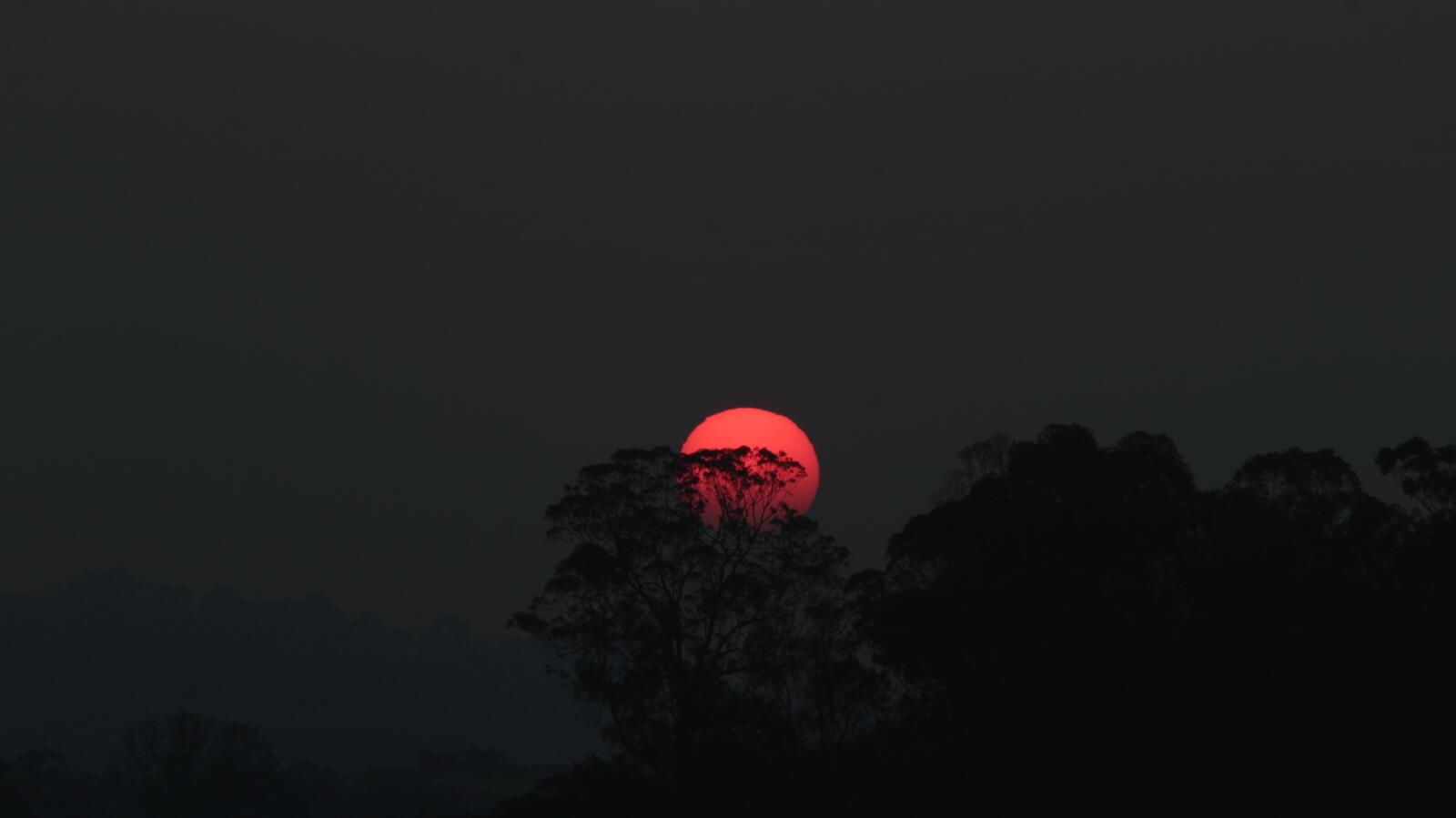 Wallpapers landscape trees red moon on the desktop