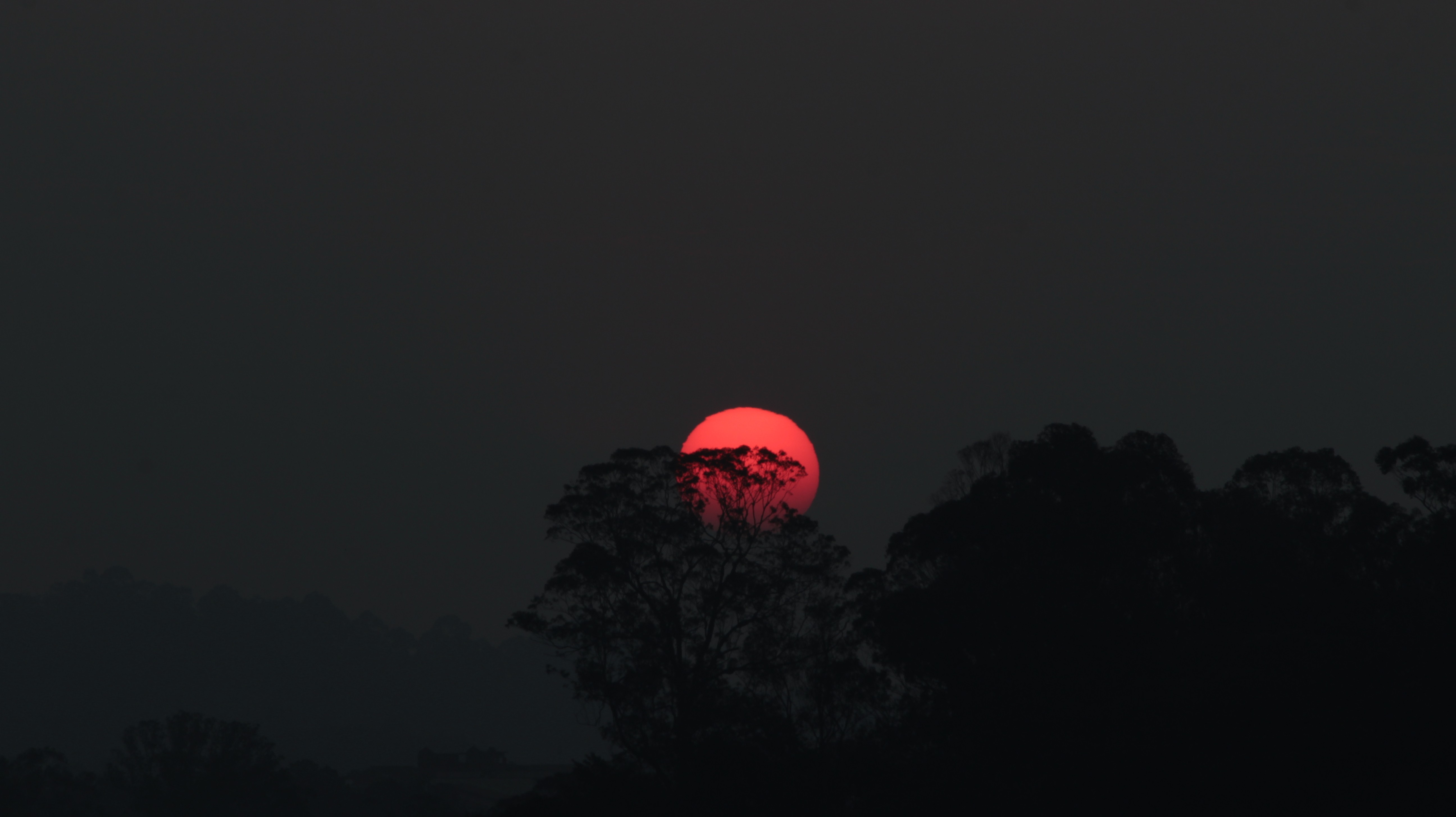 Wallpapers landscape trees red moon on the desktop