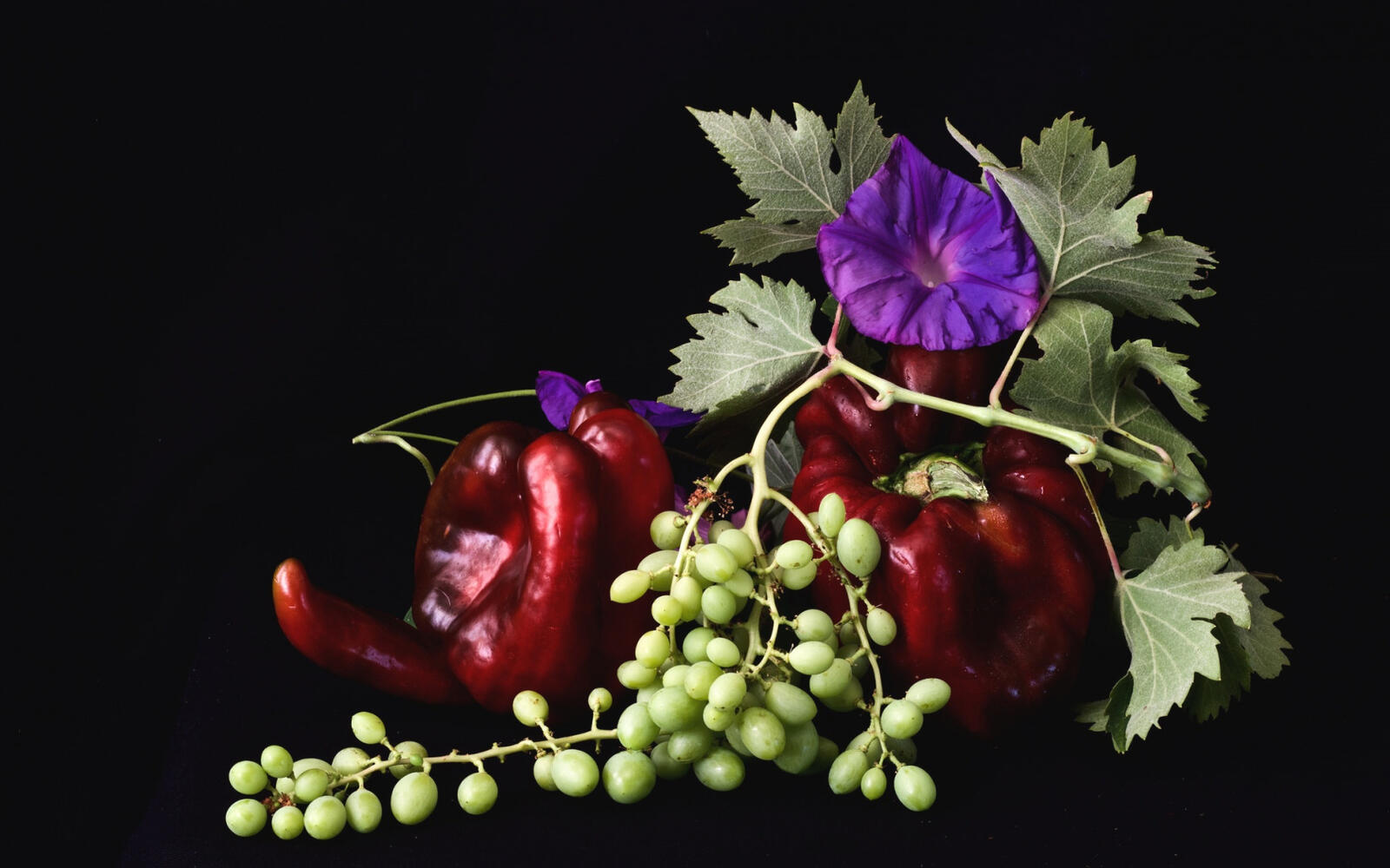 Обои вьюнок виноград перец на рабочий стол