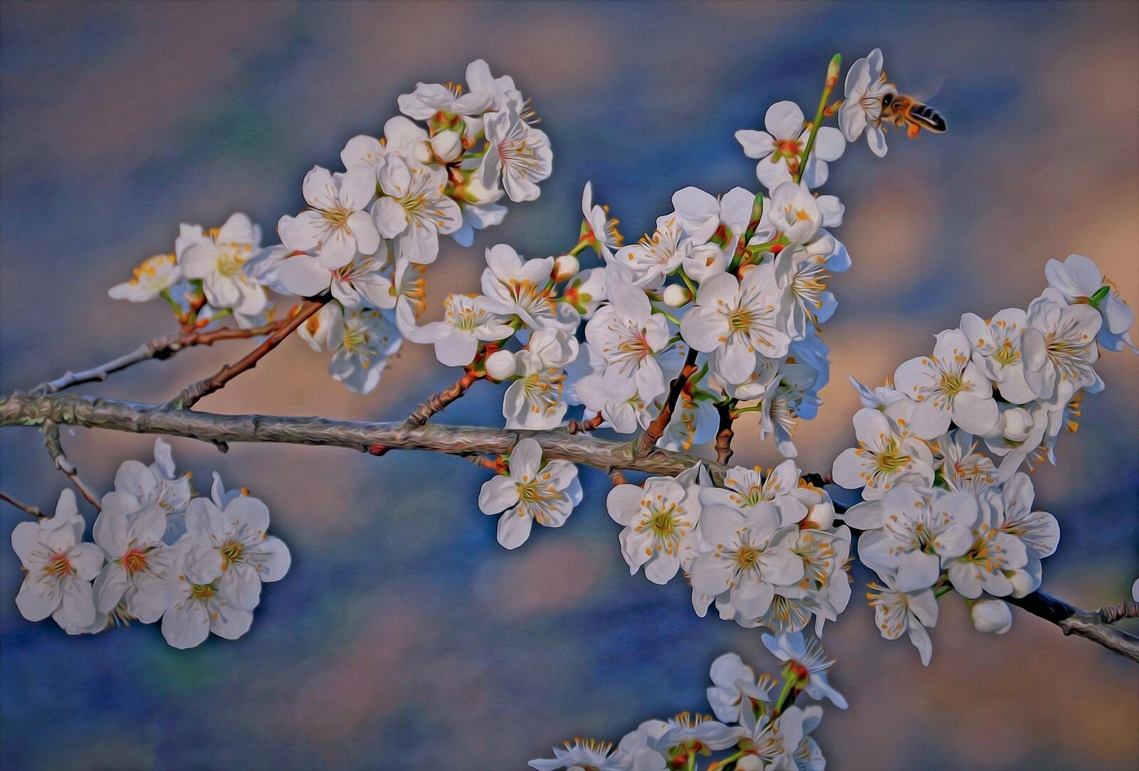 Бесплатное фото Рисунок вишневой ветки