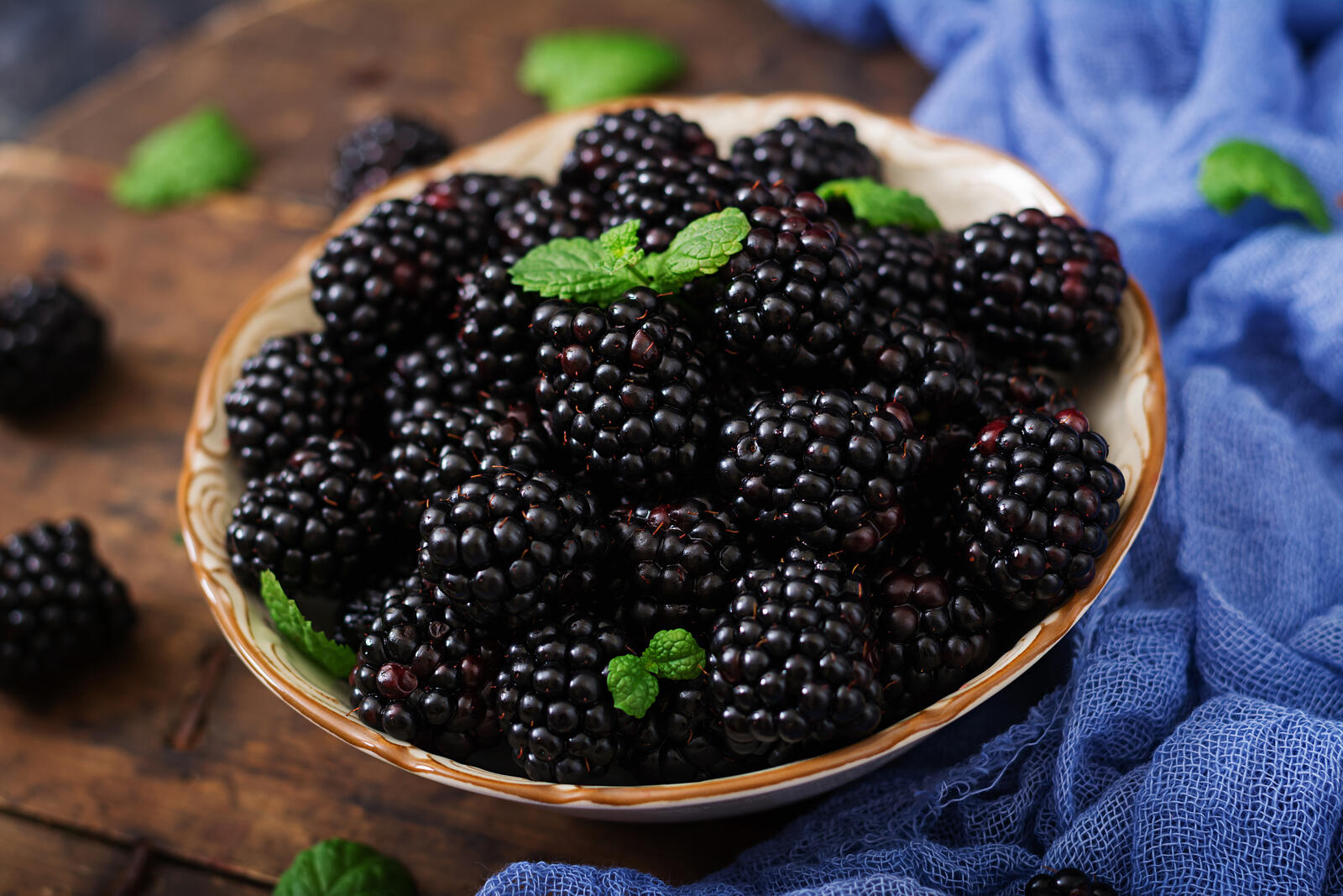 免费照片成熟的黑莓