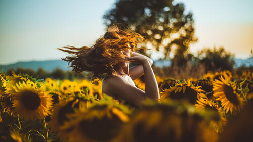 Girl with flying hair in sunflowers