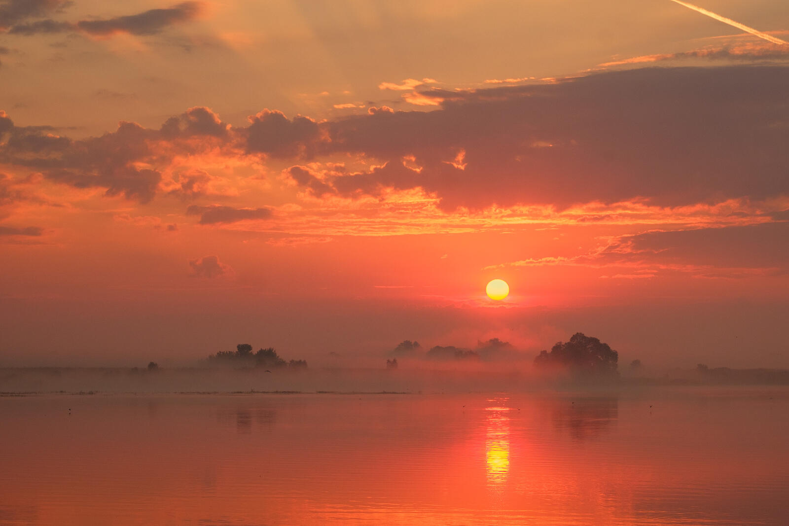 免费照片在康斯坦丁诺沃的奥卡河上的黎明