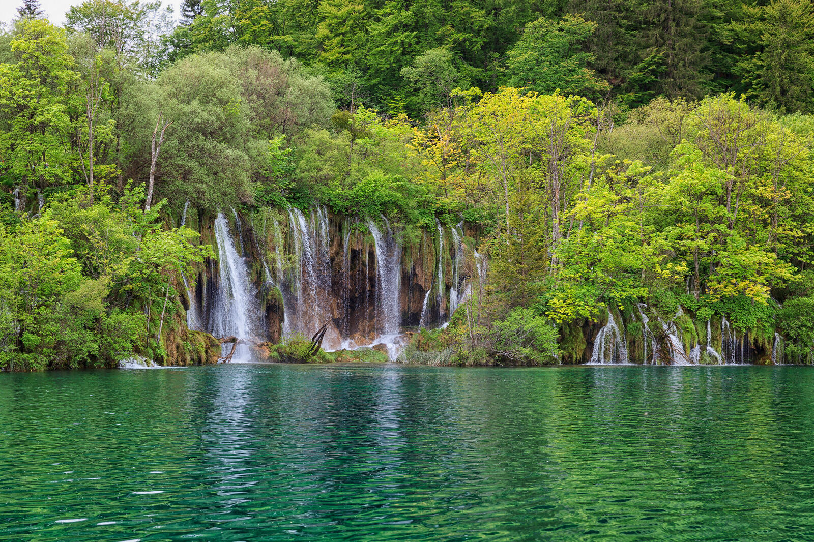 Обои зеленая листва национальный парк Плитвицкие озера водопад на рабочий стол