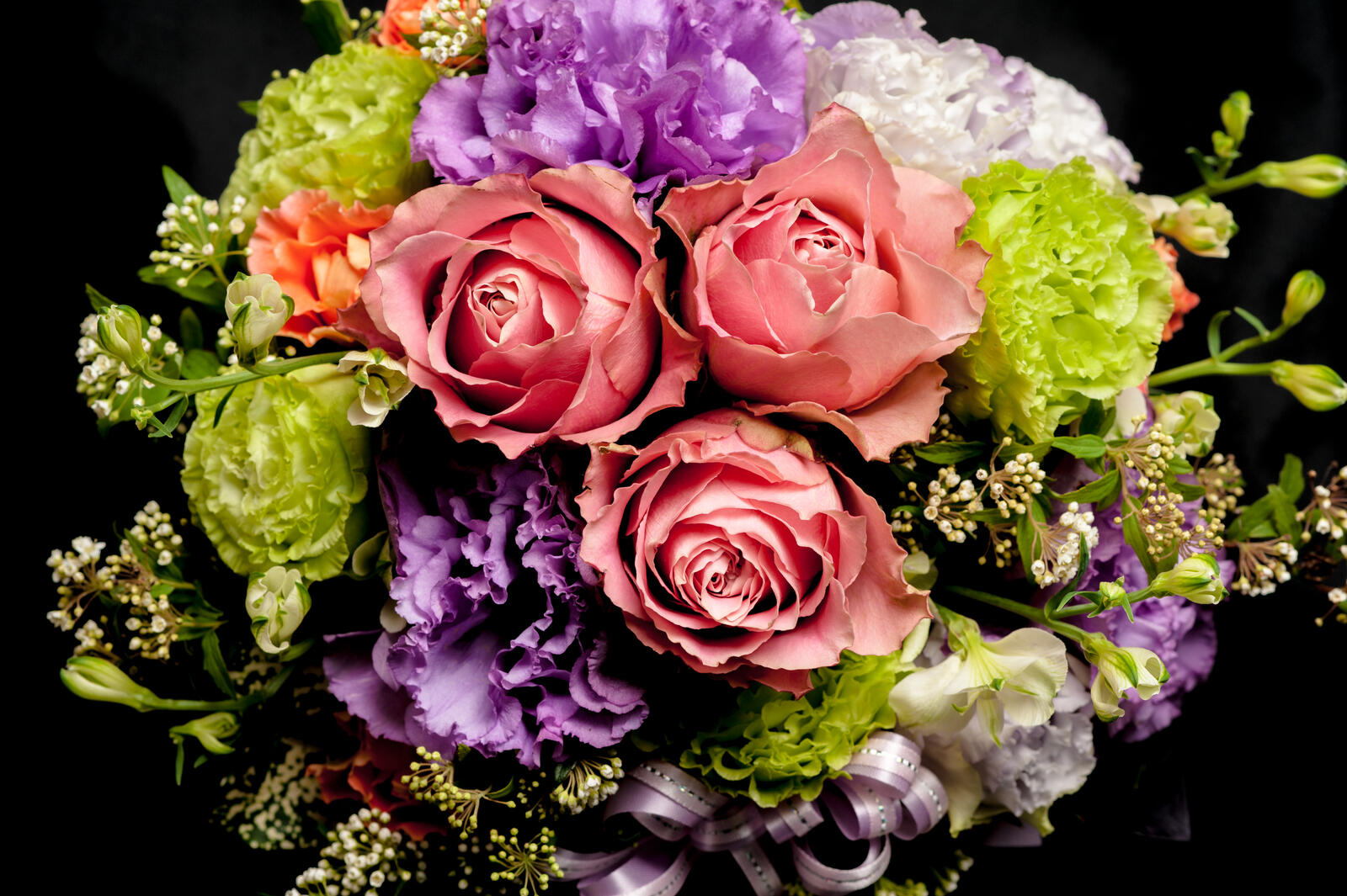 Обои цветут розы флора на рабочий стол