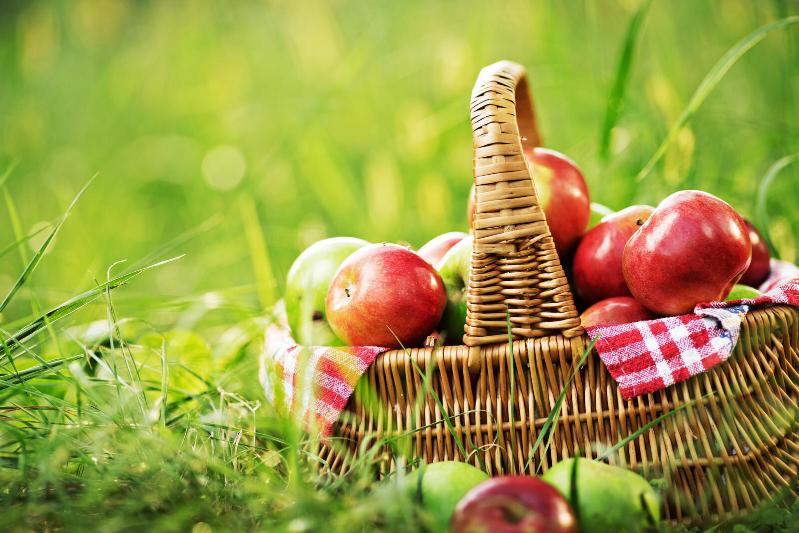 Бесплатное фото Спелые яблоки в корзинке
