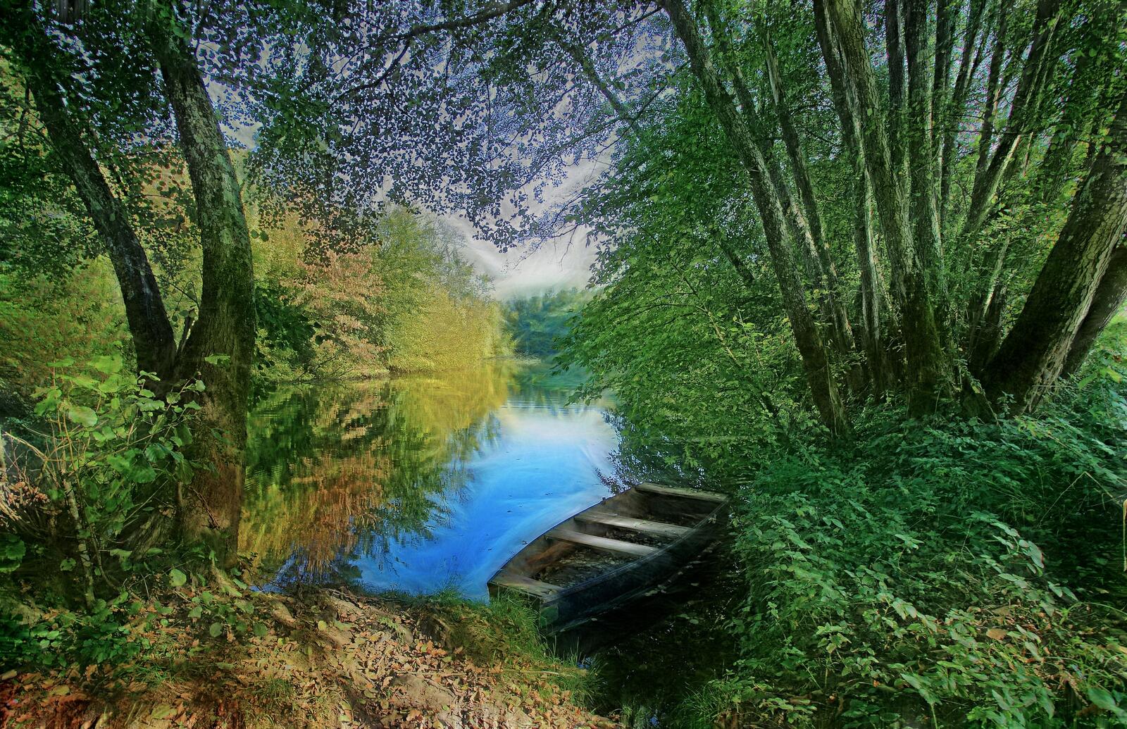 Wallpapers forest river boat on the desktop