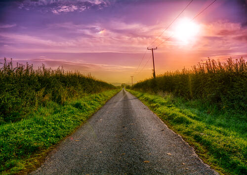 The road between the fields