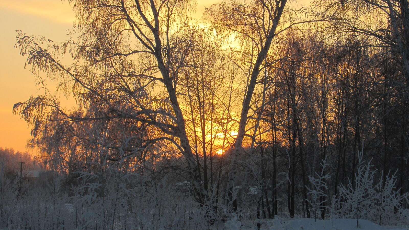 Free photo Winter sunset