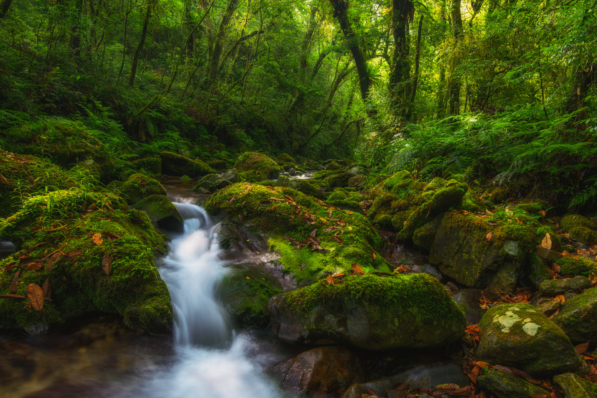Фото бесплатно зеленый мох, камни, речка