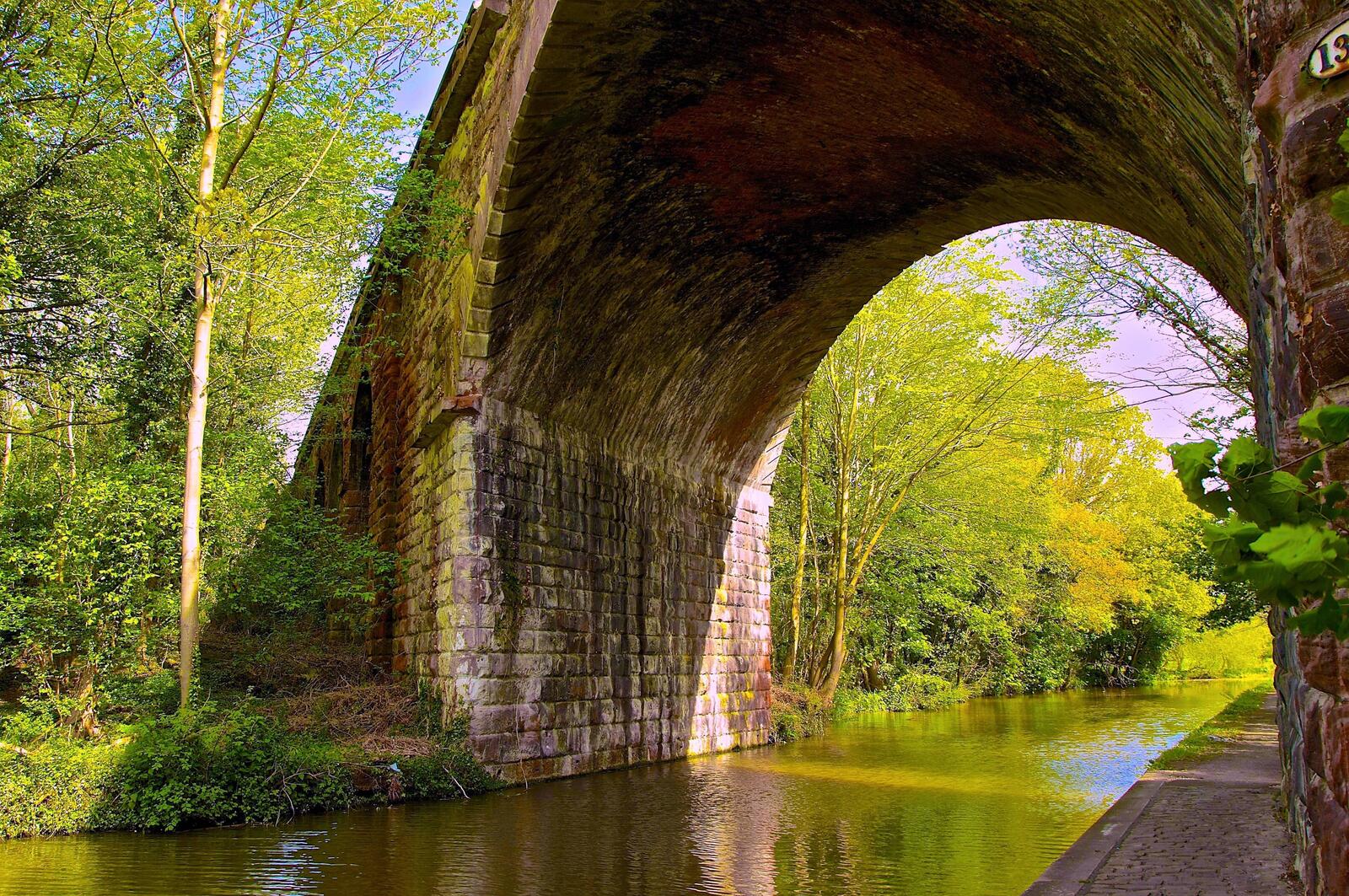 Бесплатное фото Большой мост в лесу из каменной кладки через реки