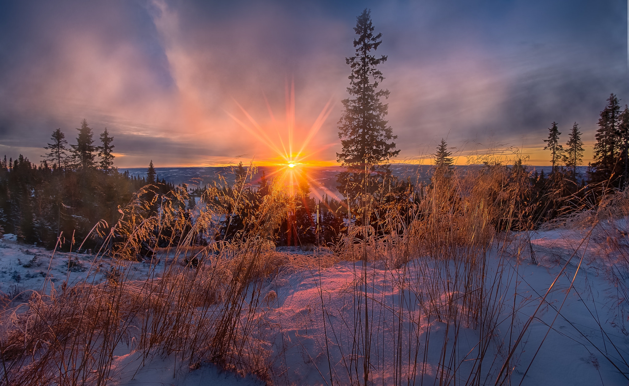 В морозные дни солнце восходит в тяжелом. Jorn Allan Pedersen(Норвегия). Зимний закат. Рассвет зимой. Морозный закат.