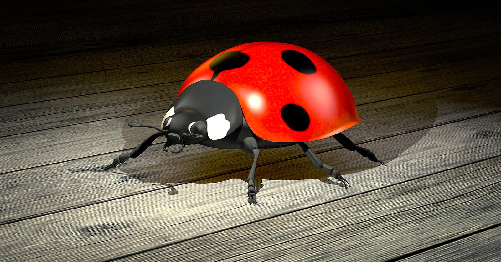 Free photo Drawing ladybugs