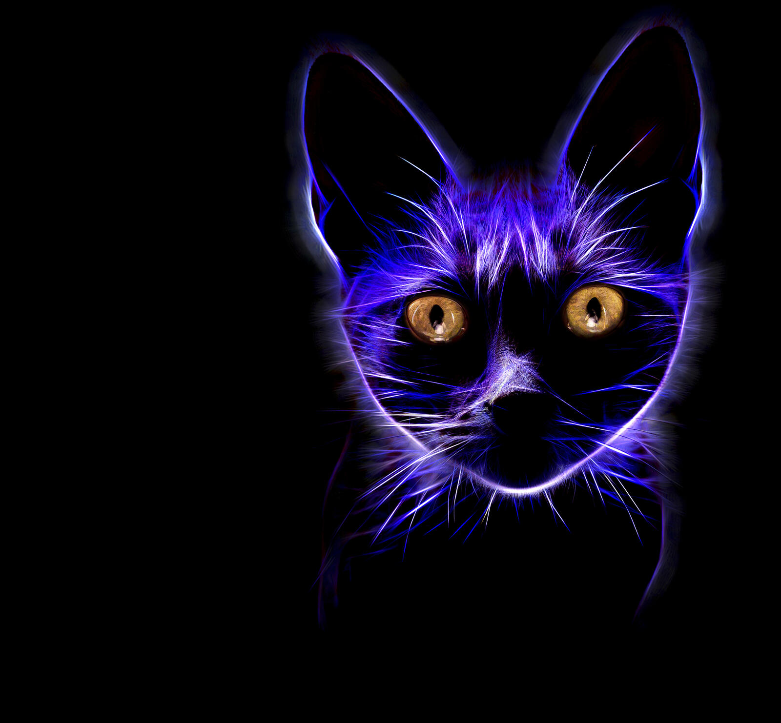 Wallpapers cat abstraction face on the desktop