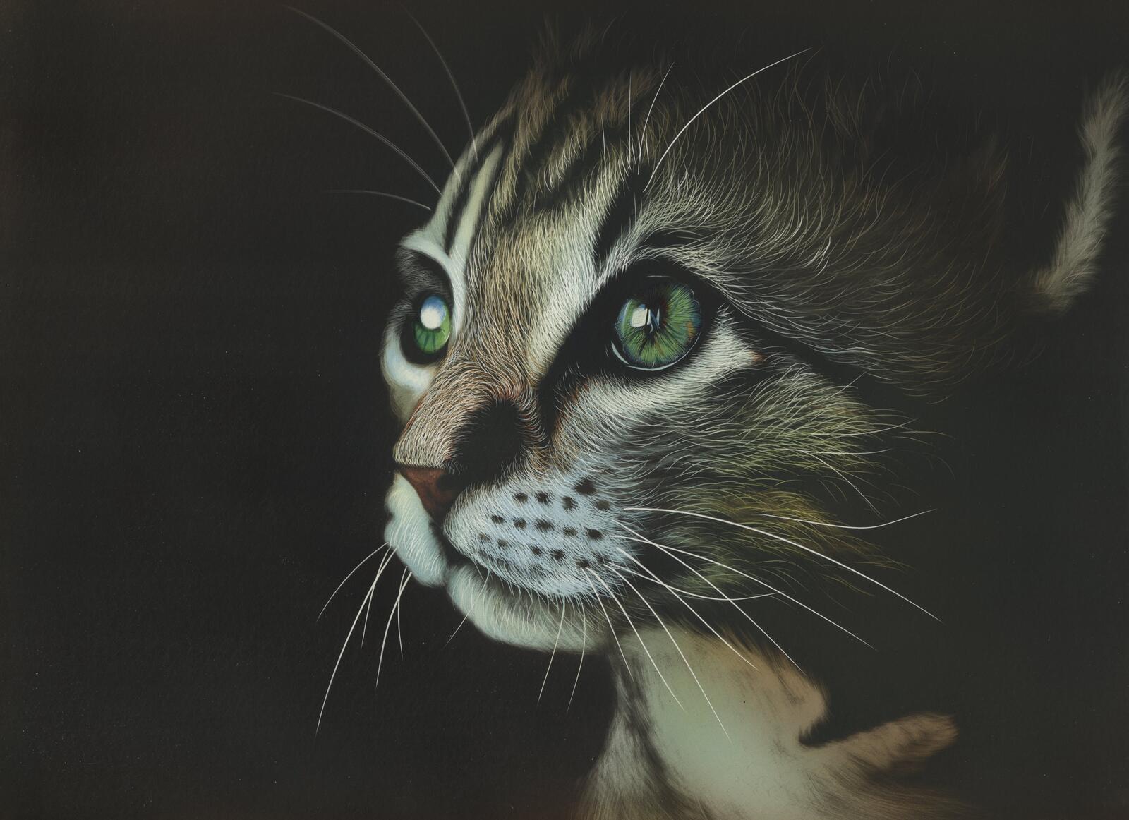 Бесплатное фото Нарисованное лицо кота