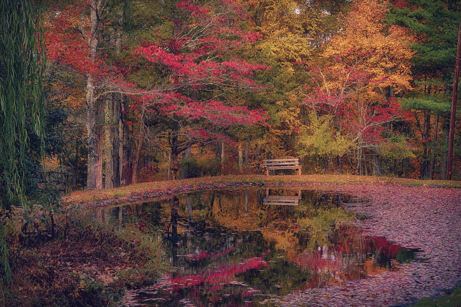 Wallpapers colors autumn trees destination on the desktop