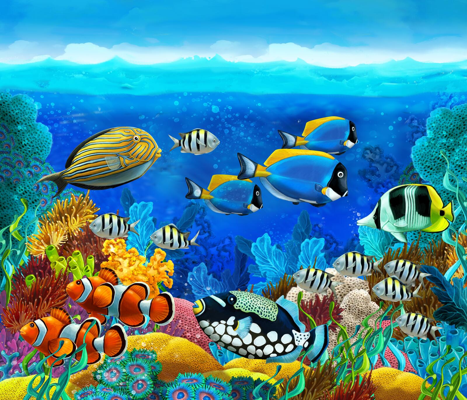 Wallpapers sea reefs fish on the desktop