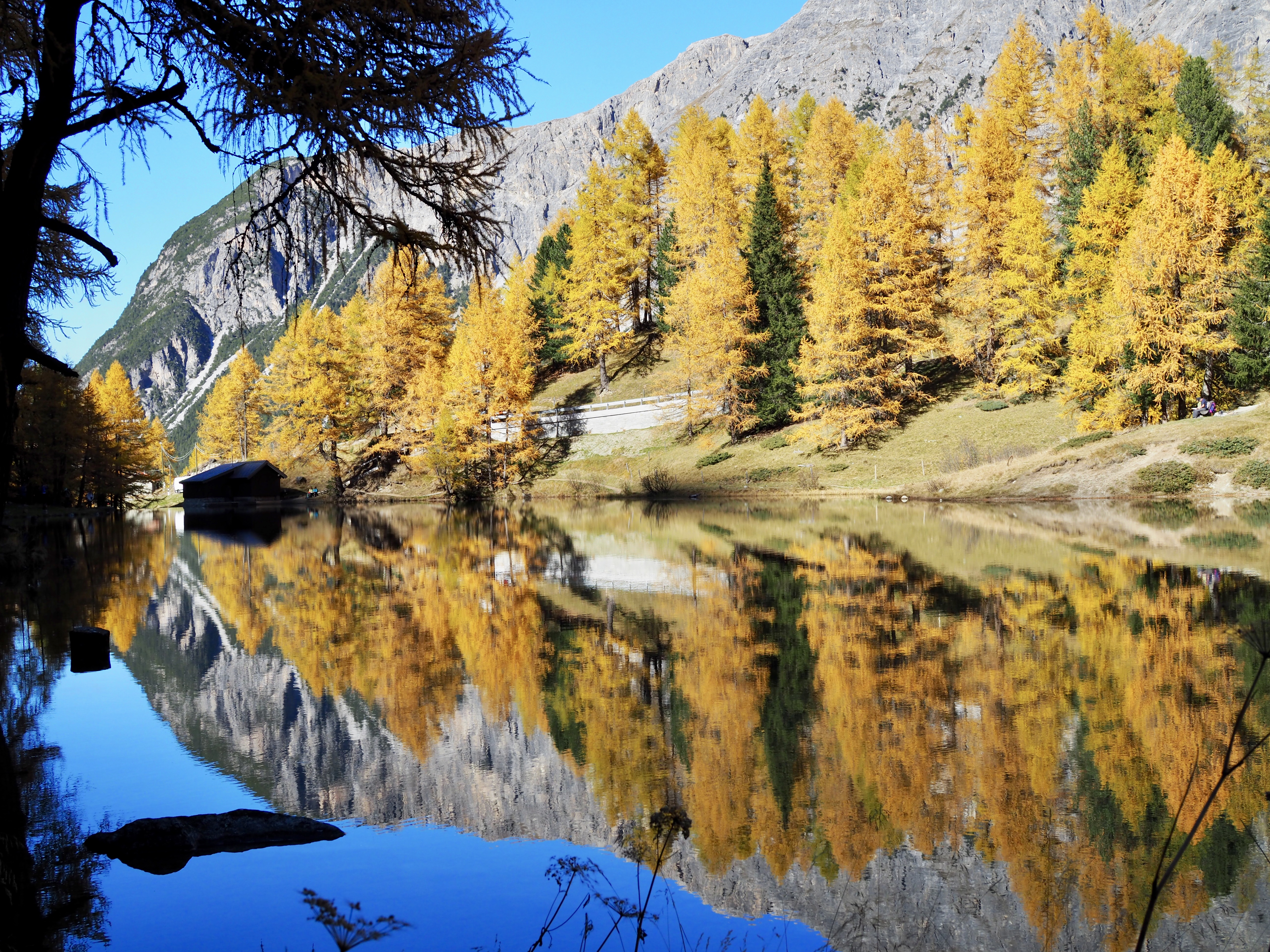 Обои Швейцария озеро осень на рабочий стол