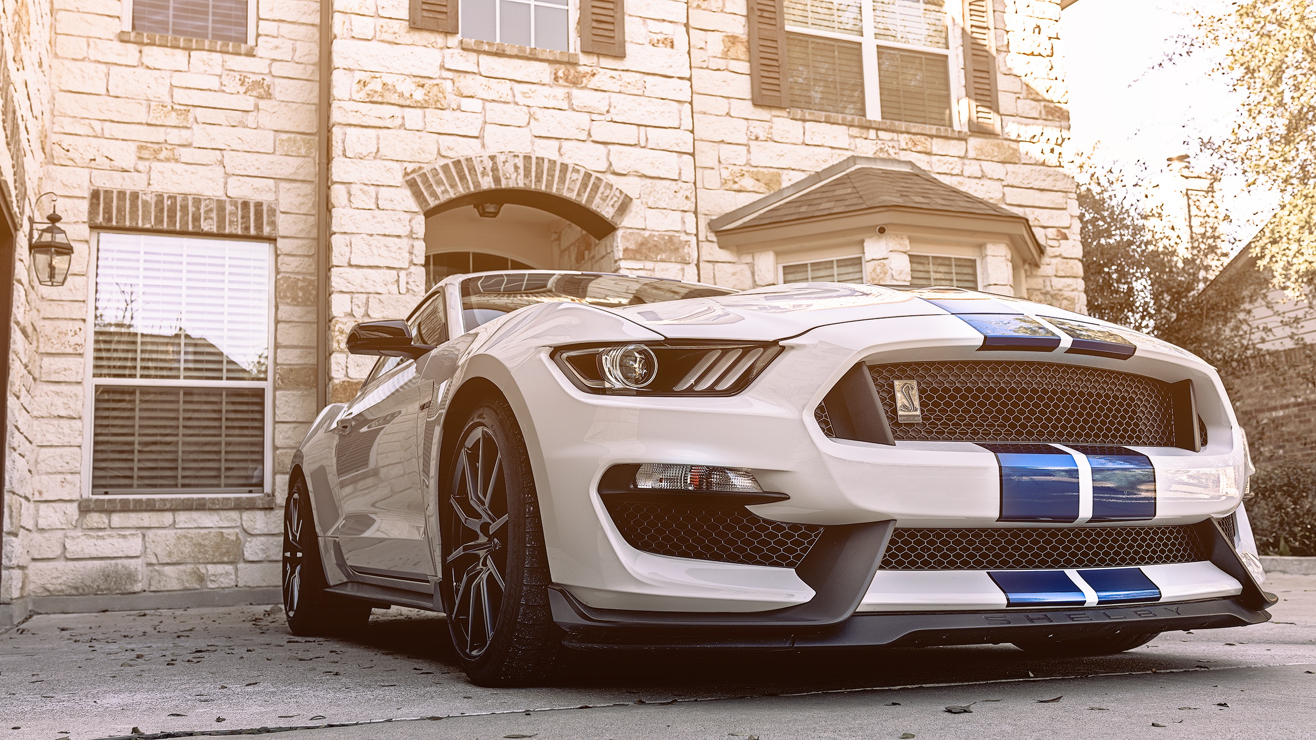 Wallpapers Ford Mustang a menacing look white on the desktop