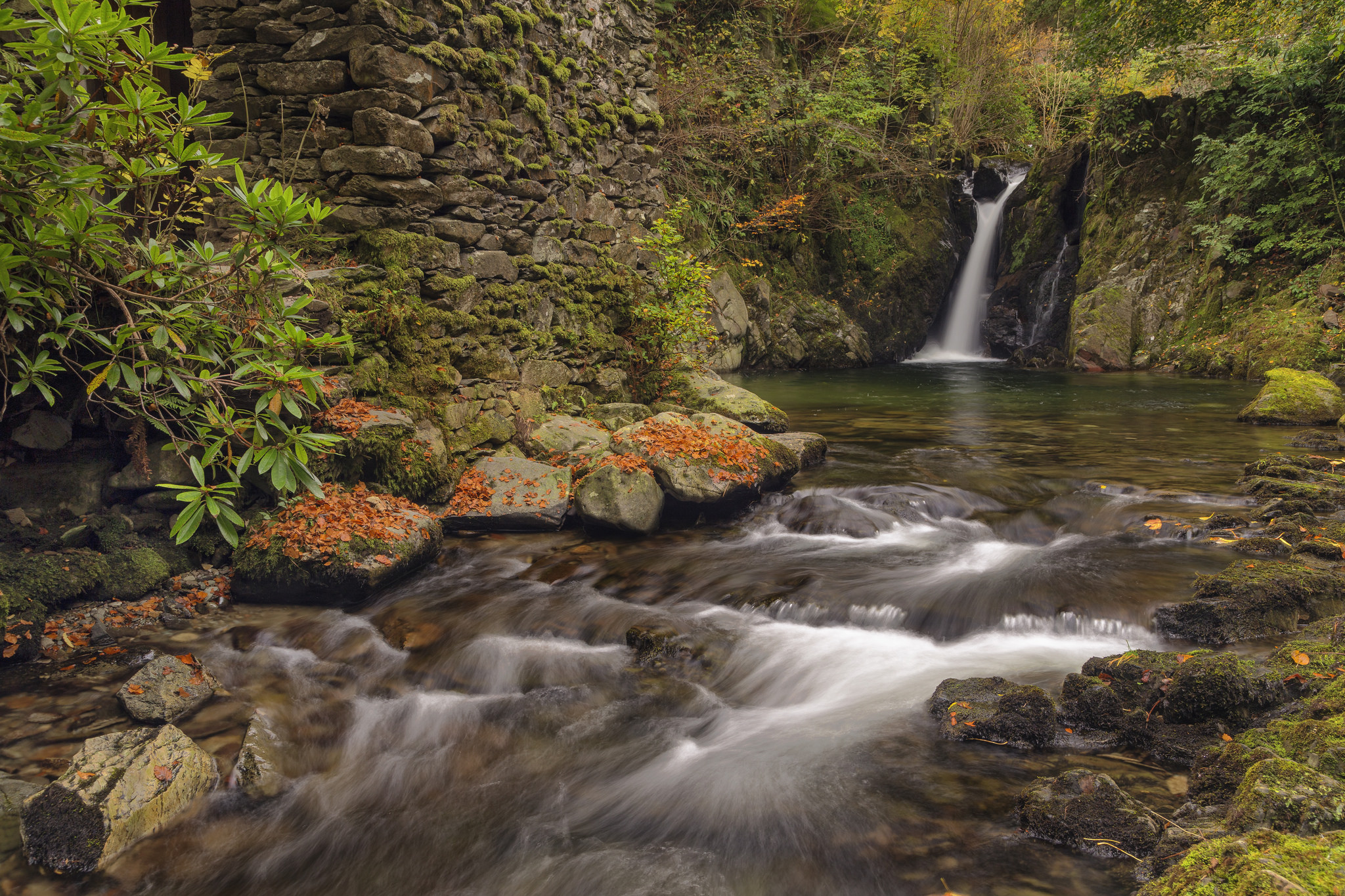 Бесплатное фото Ручей и водопад осенью