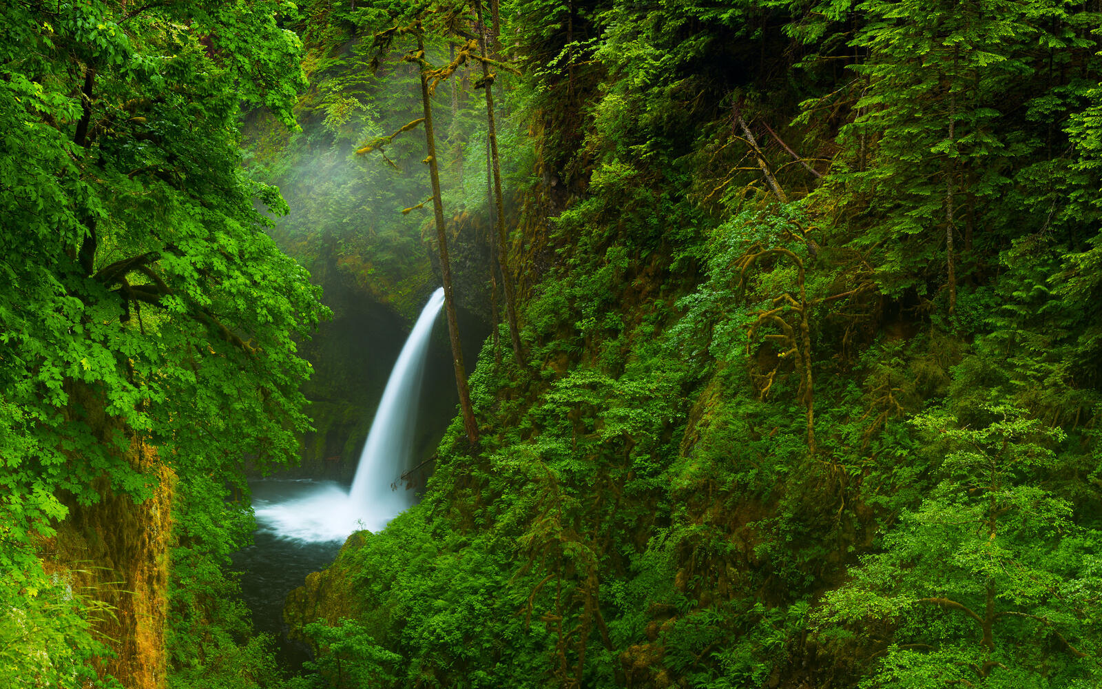 Free photo Waterfall in deep forest