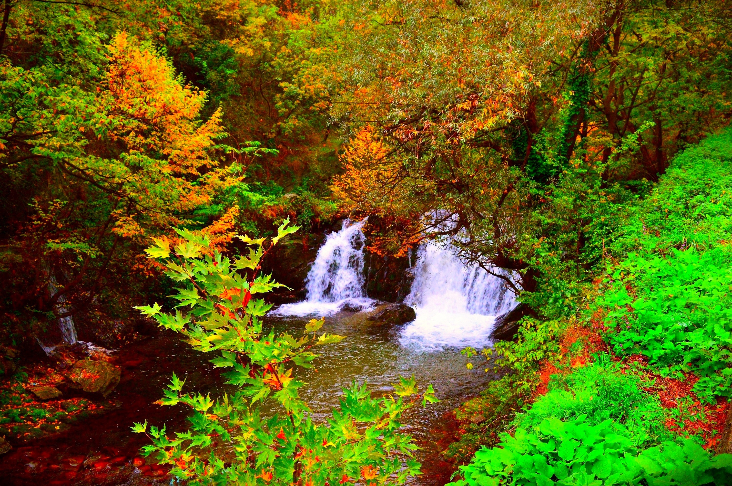 Wallpapers magical river autumn forest on the desktop