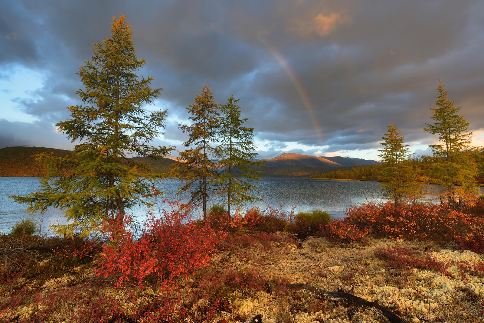 Free photo Rainbow over the lake