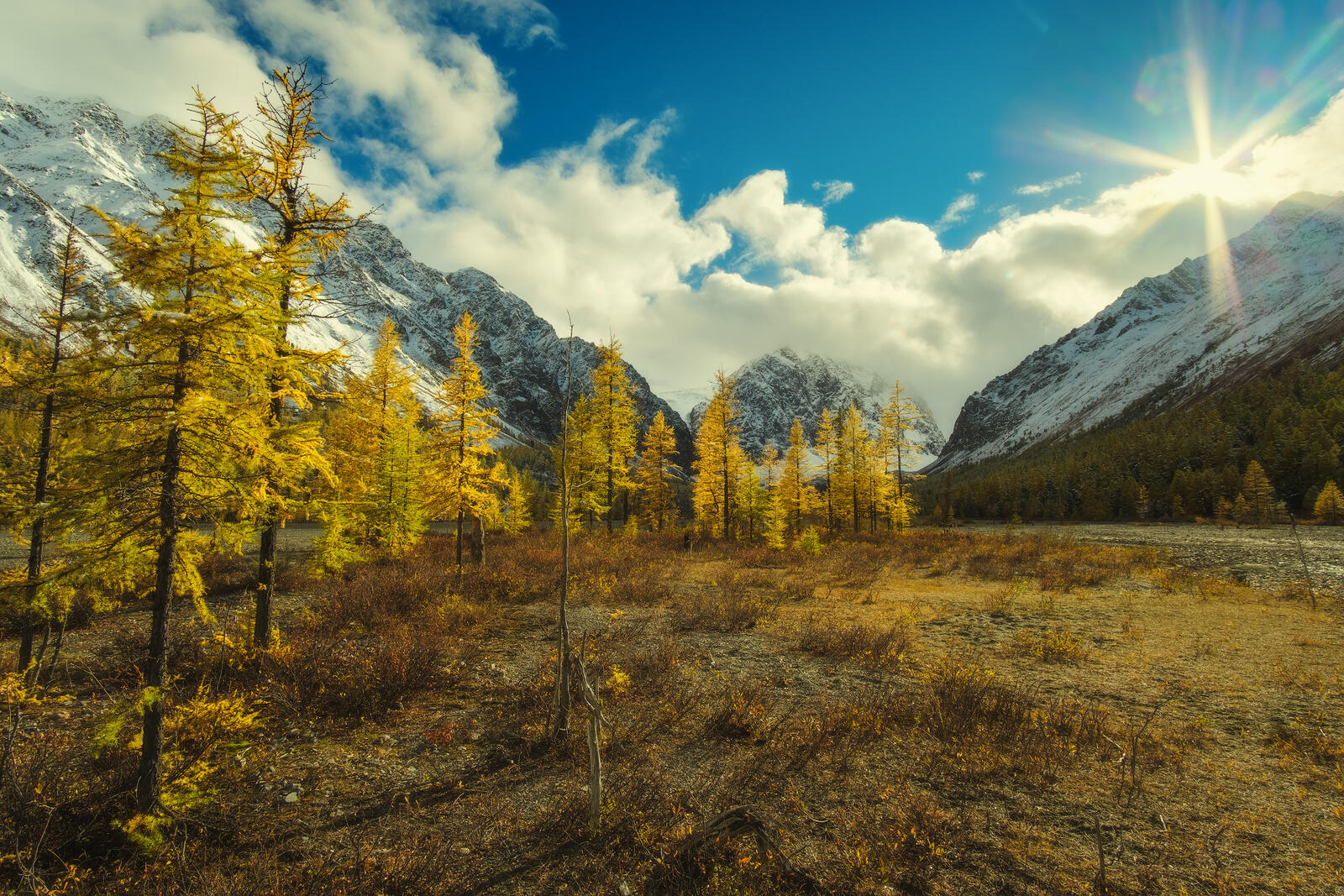Free photo Autumn day in the Altai Mountains