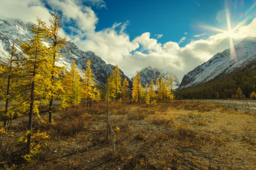 Autumn day in the Altai Mountains