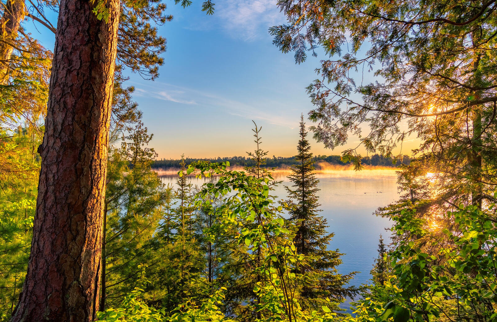 Wallpapers Sandwick Lake Sunrise - Scenic State Park Minnesota sunset on the desktop