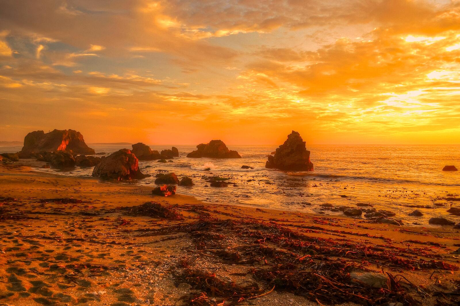 Бесплатное фото Песчаный вечерний берег моря
