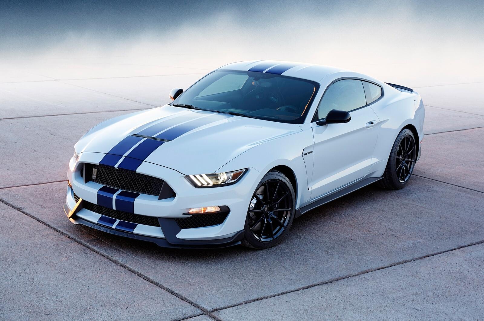 Wallpapers Ford Mustang Shelby white sports on the desktop