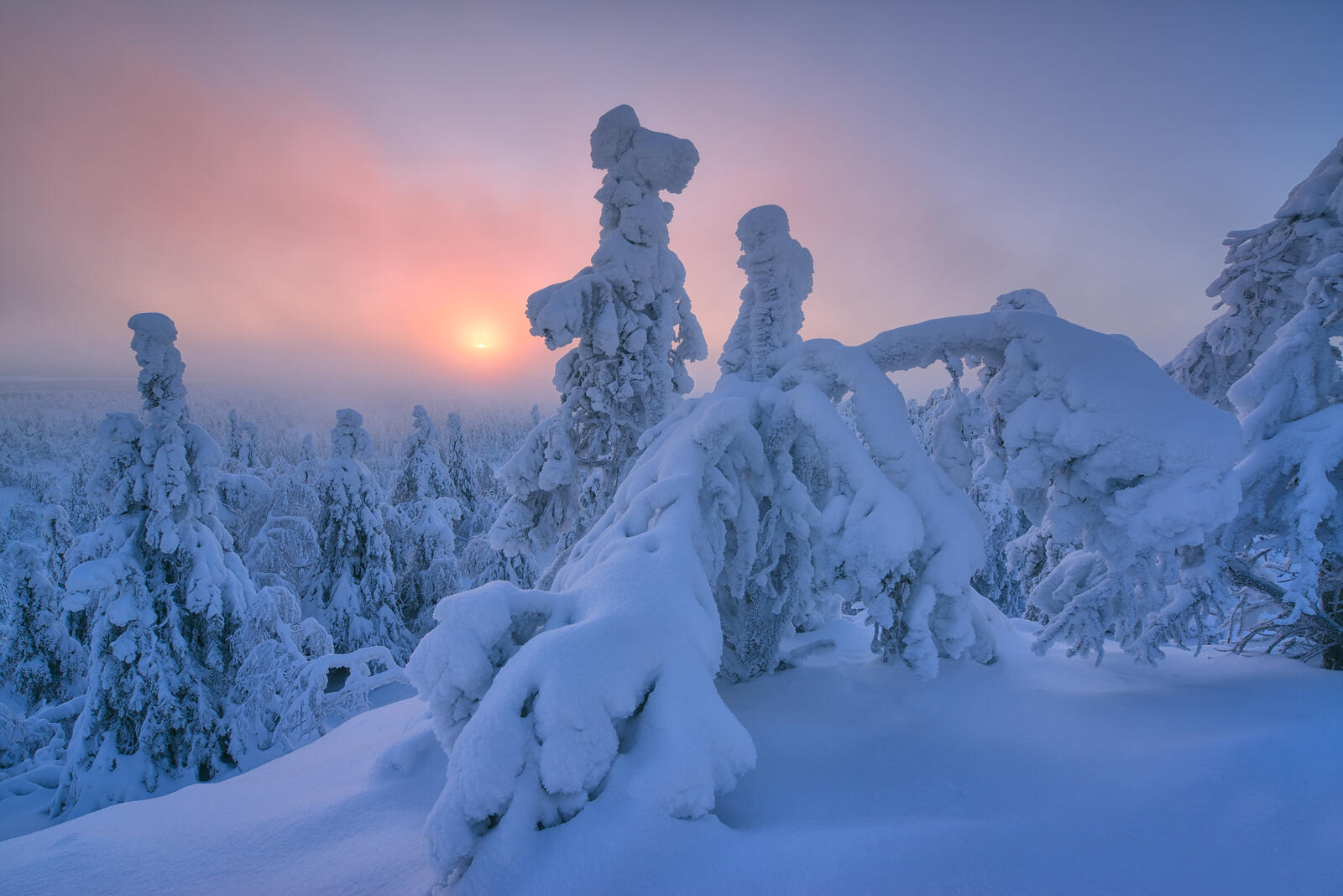 Обои закат Лапландия снежные заносы на рабочий стол