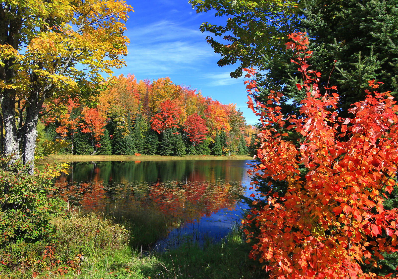 Wallpapers autumn Wisconsin forest on the desktop