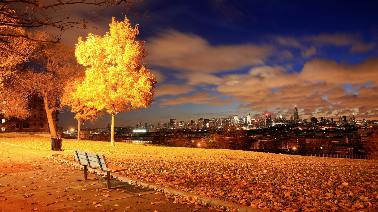 Обои скамейка городской пейзаж осень на рабочий стол