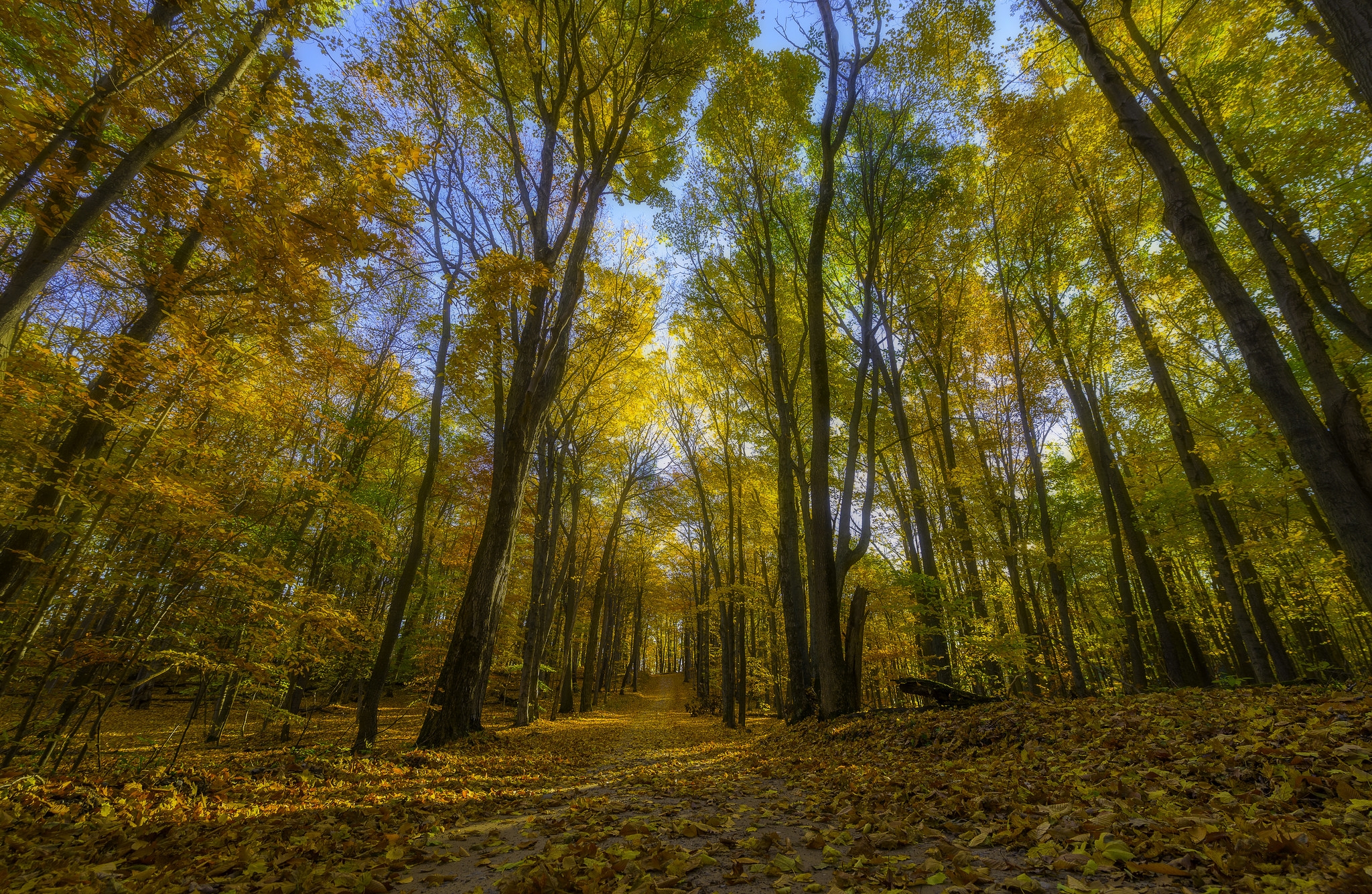 Photo free colors of autumn, trees, autumn colors
