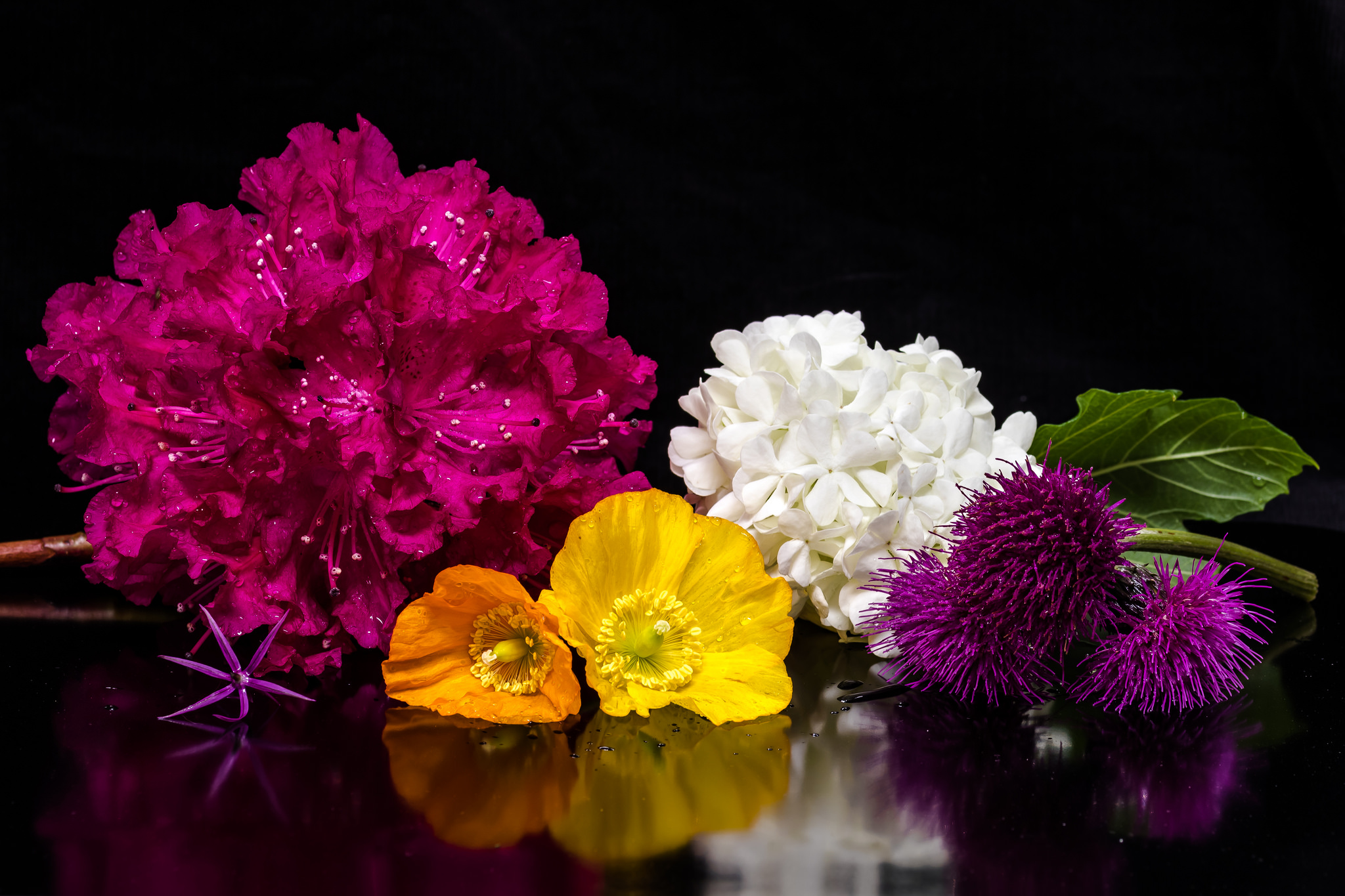 Обои флора цветы цветочные композиции на рабочий стол