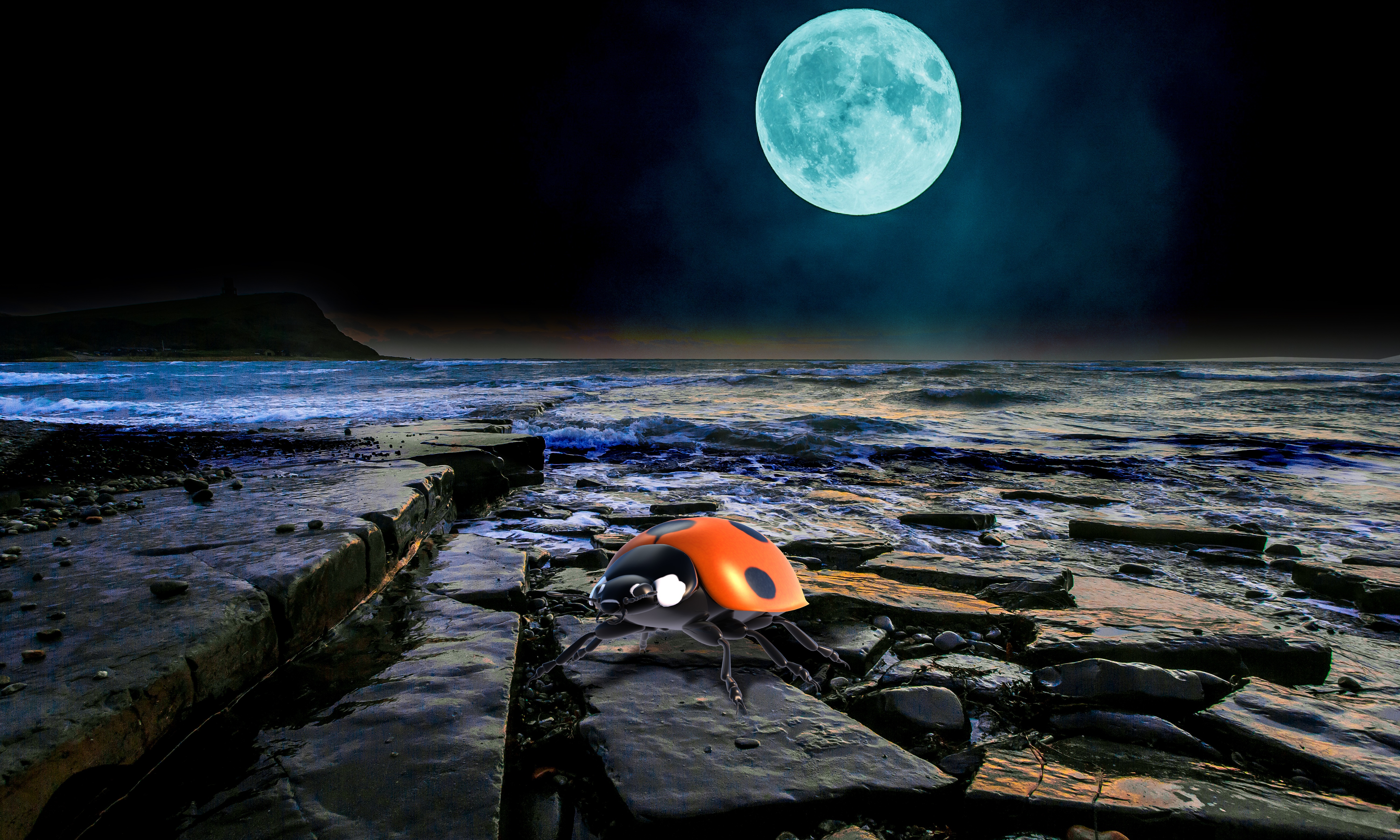Обои каменистый берег луна море на рабочий стол