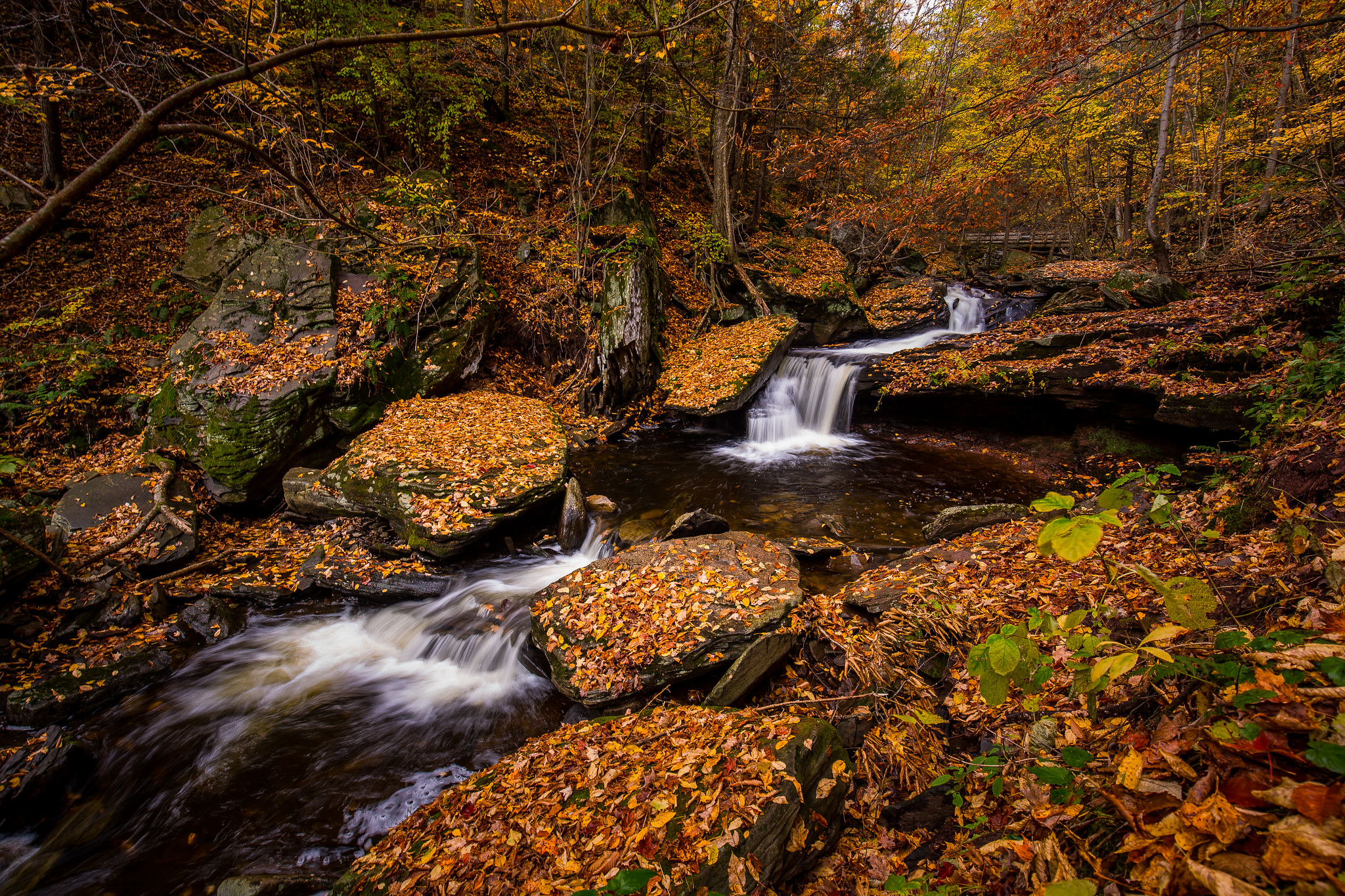 Wallpapers autumn colors nature flowing on the desktop