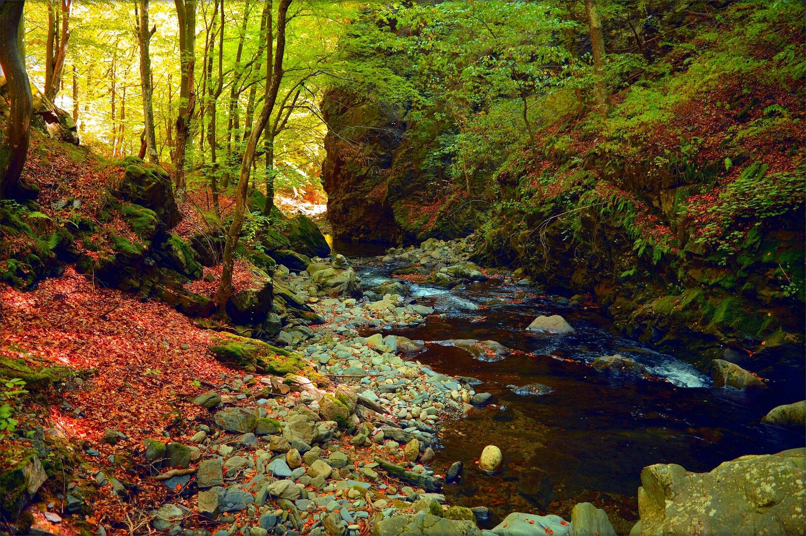 Wallpapers landscape nature magical river on the desktop