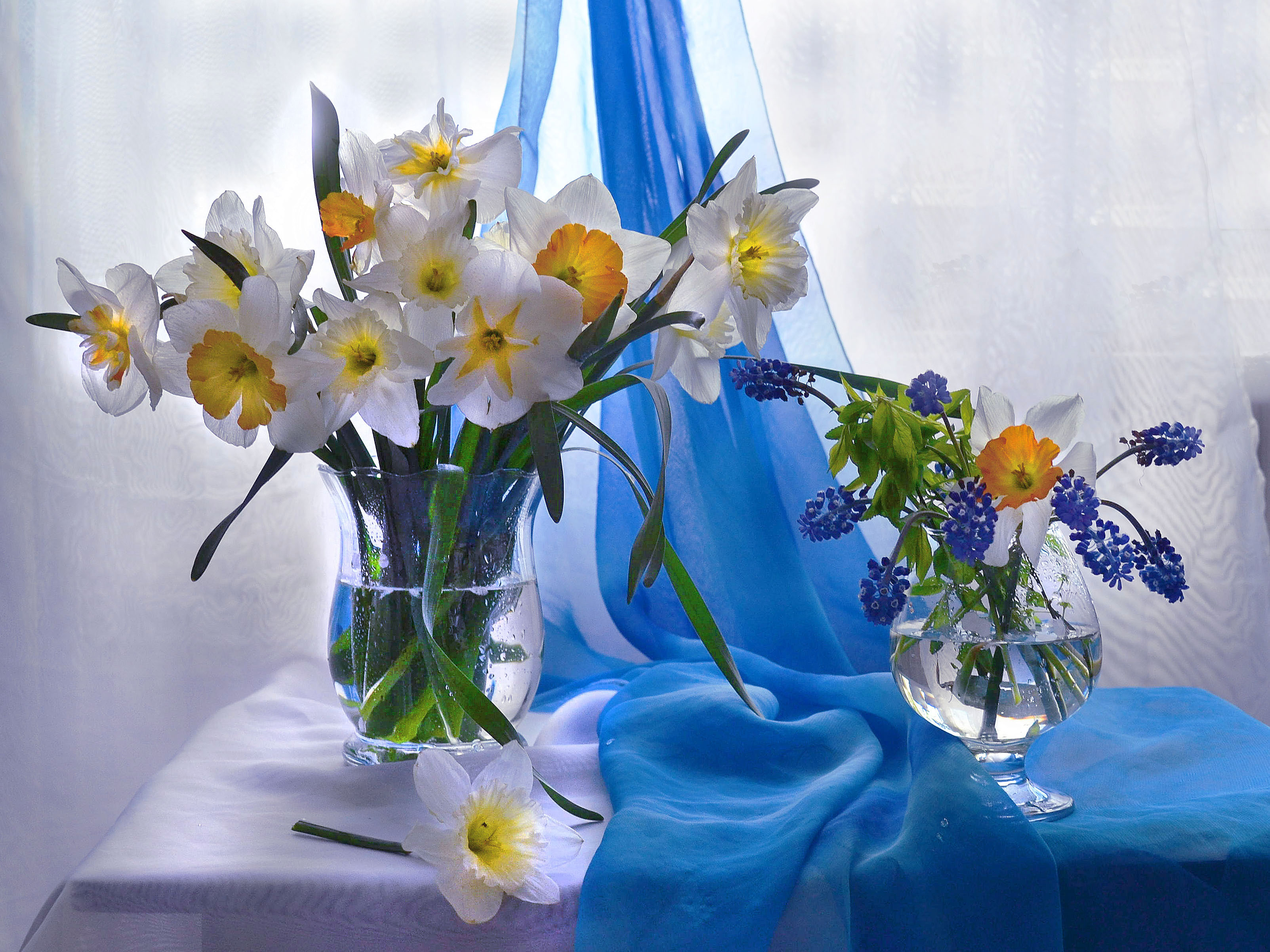 Wallpapers bouquet daffodils background on the desktop