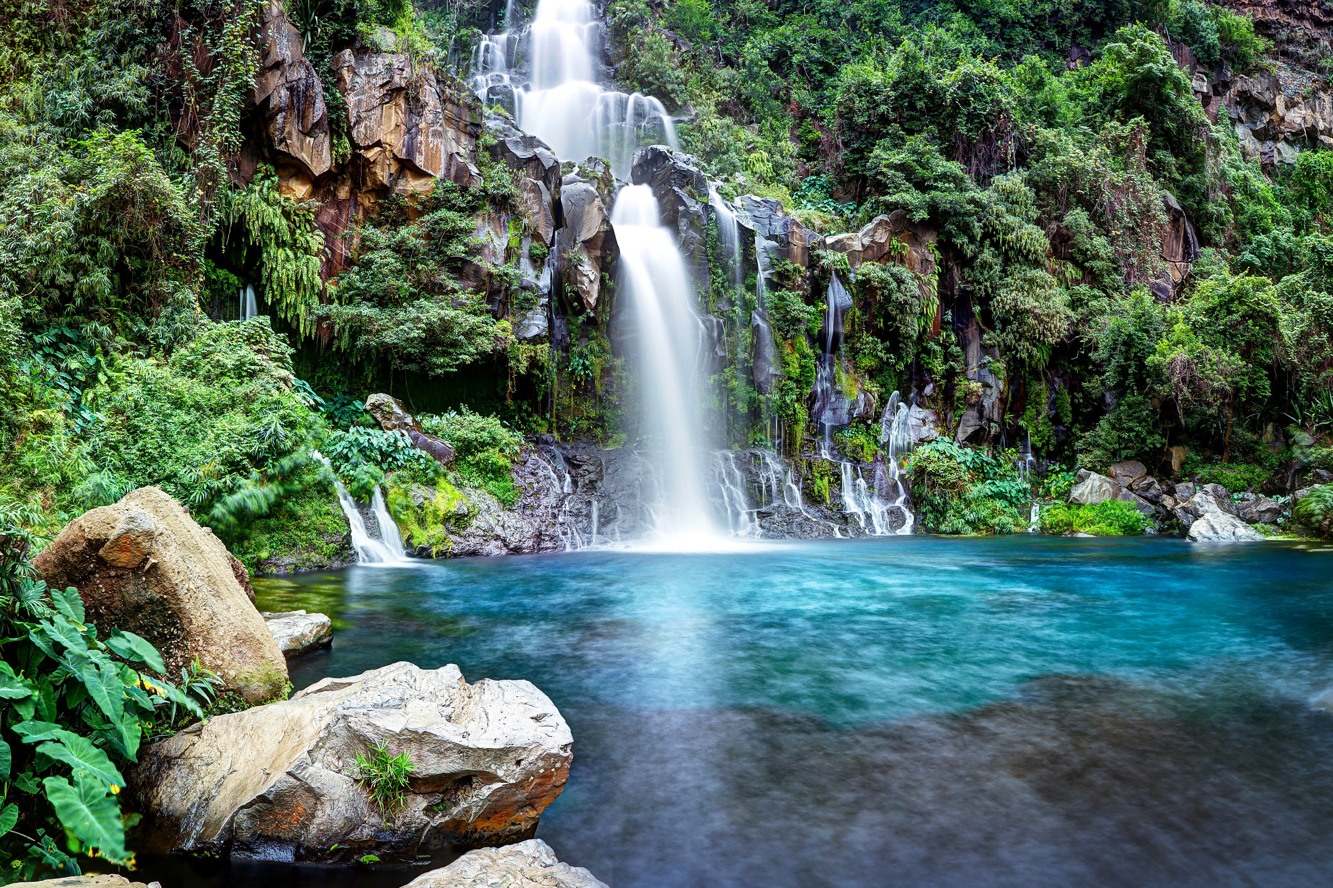免费照片一个小溪的瀑布和清澈的水